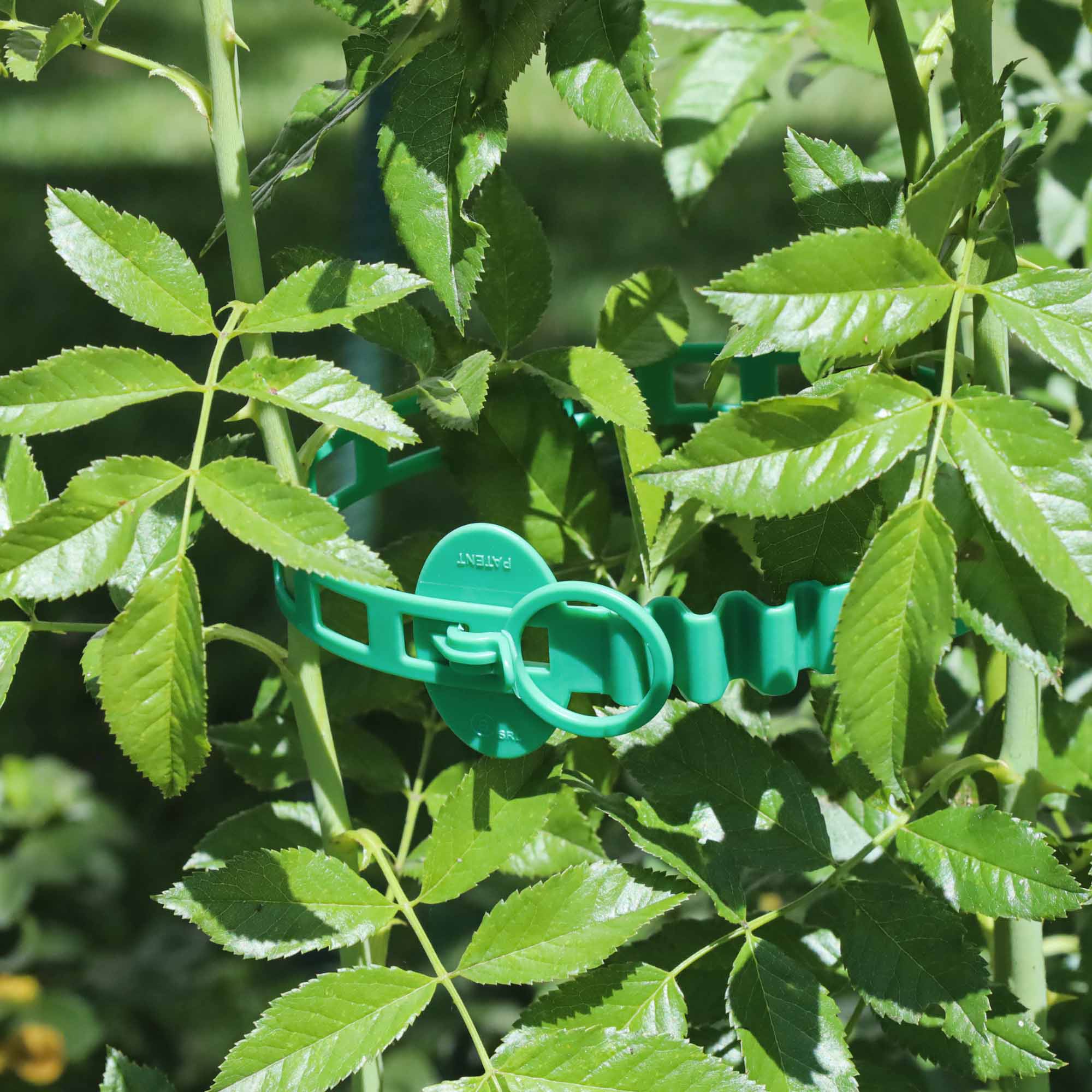 69f4c45771439536c49fffff8056e26a