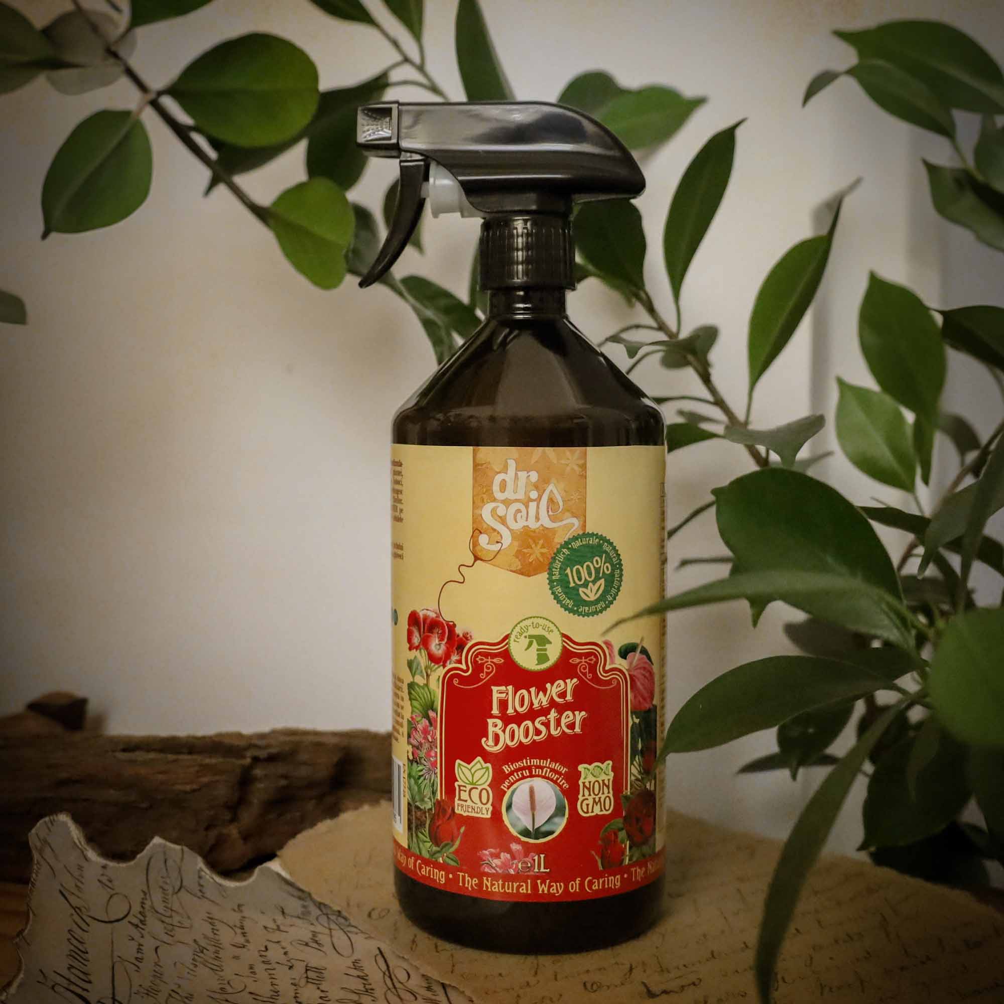 d822583fd0eb6145f14c99e81f4ad98e