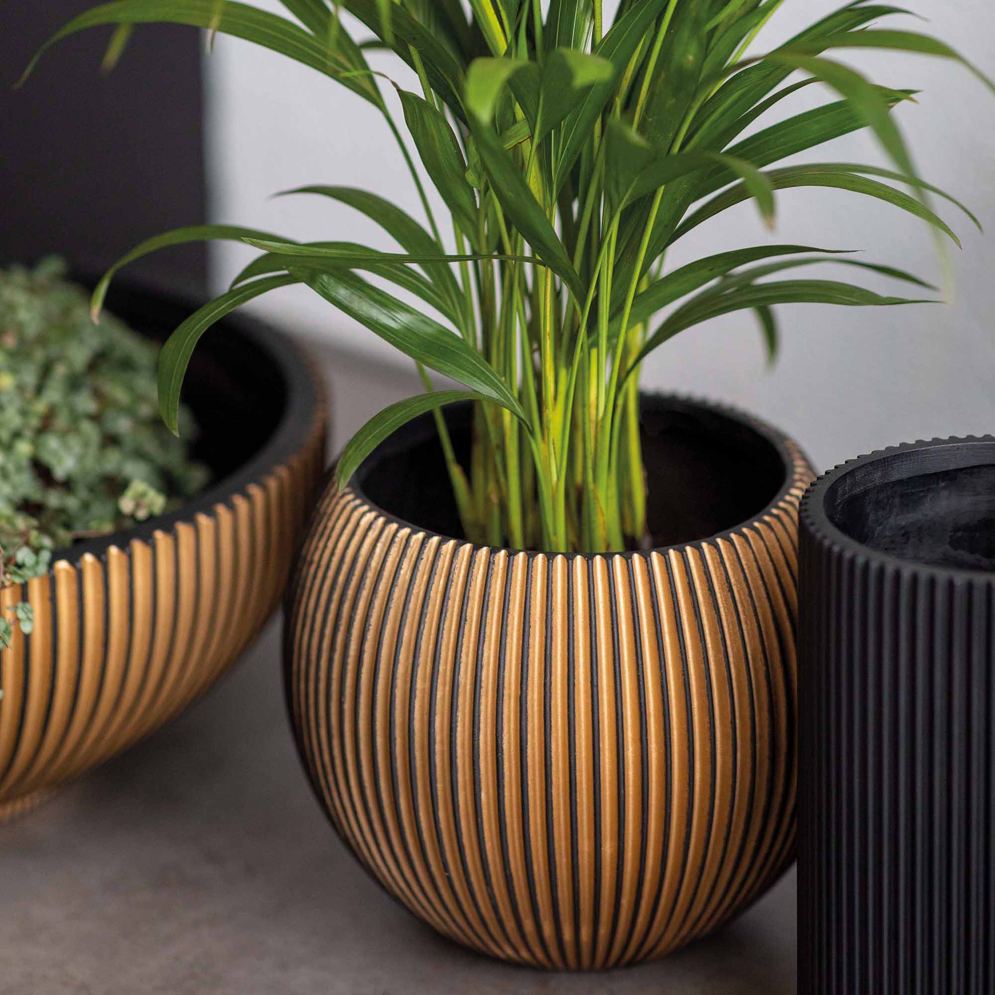 c2c4272518de8f123f04c123f0888e38