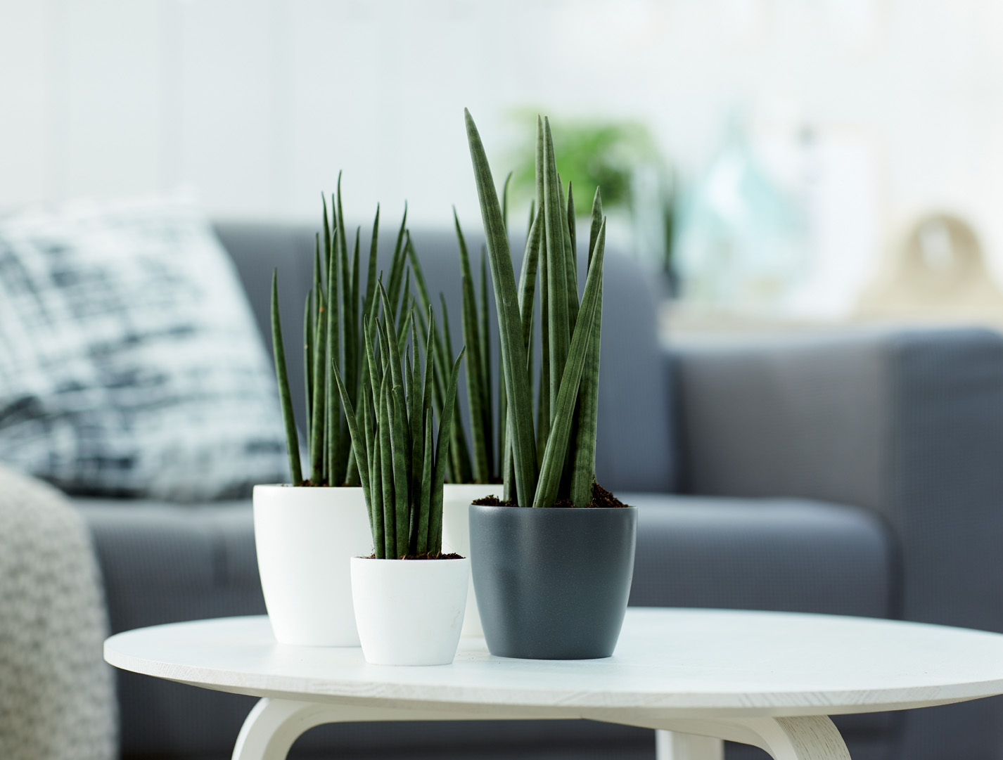 3f459bba686000e473b11856ee4cfa30