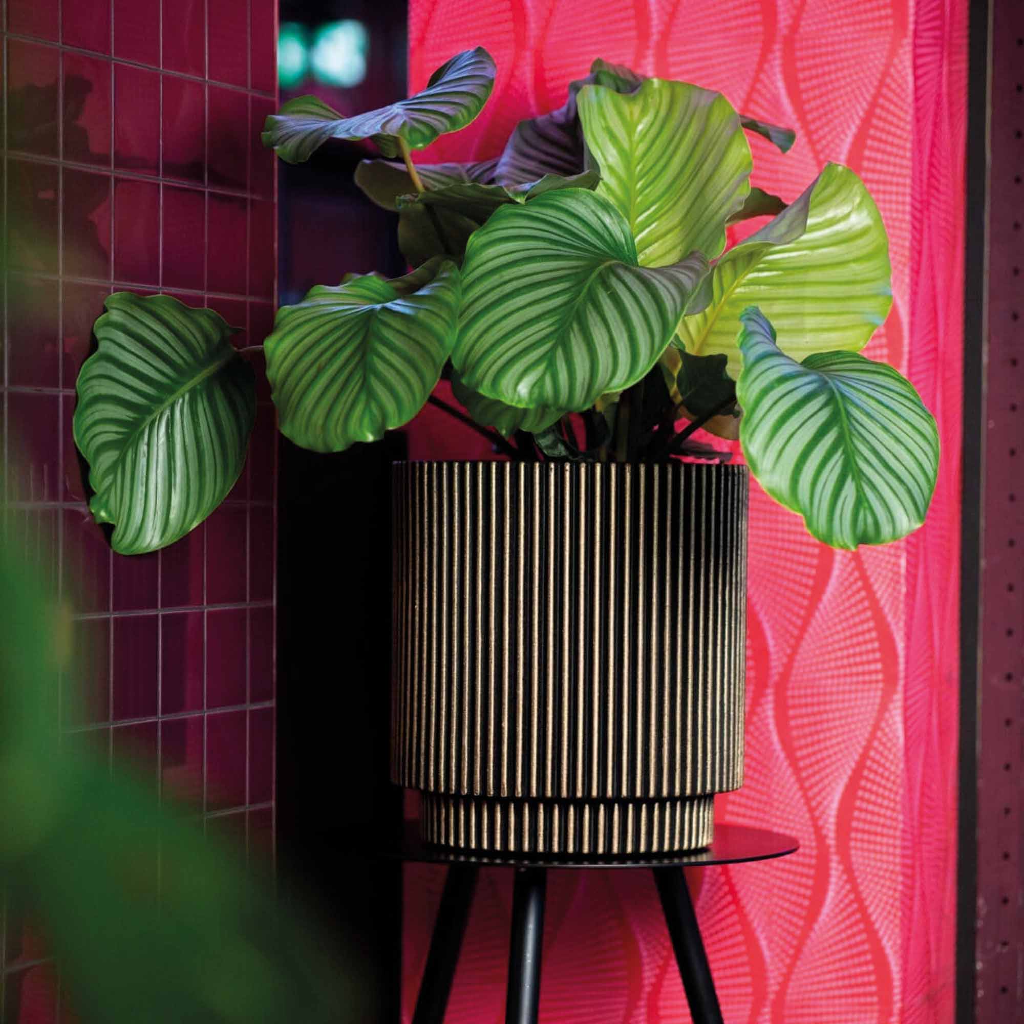 1848526287e04de56029451e469707b8