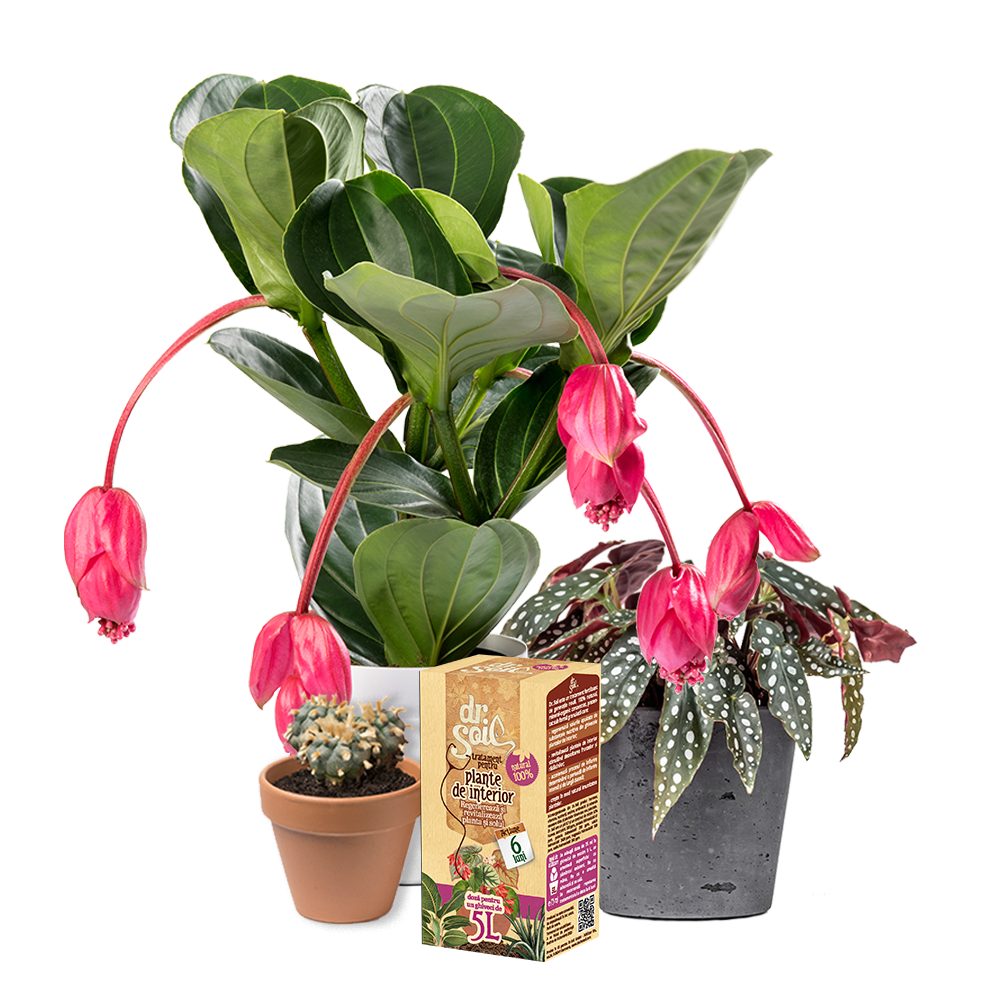 e60ceea075783a672b50781bc3ac41cd