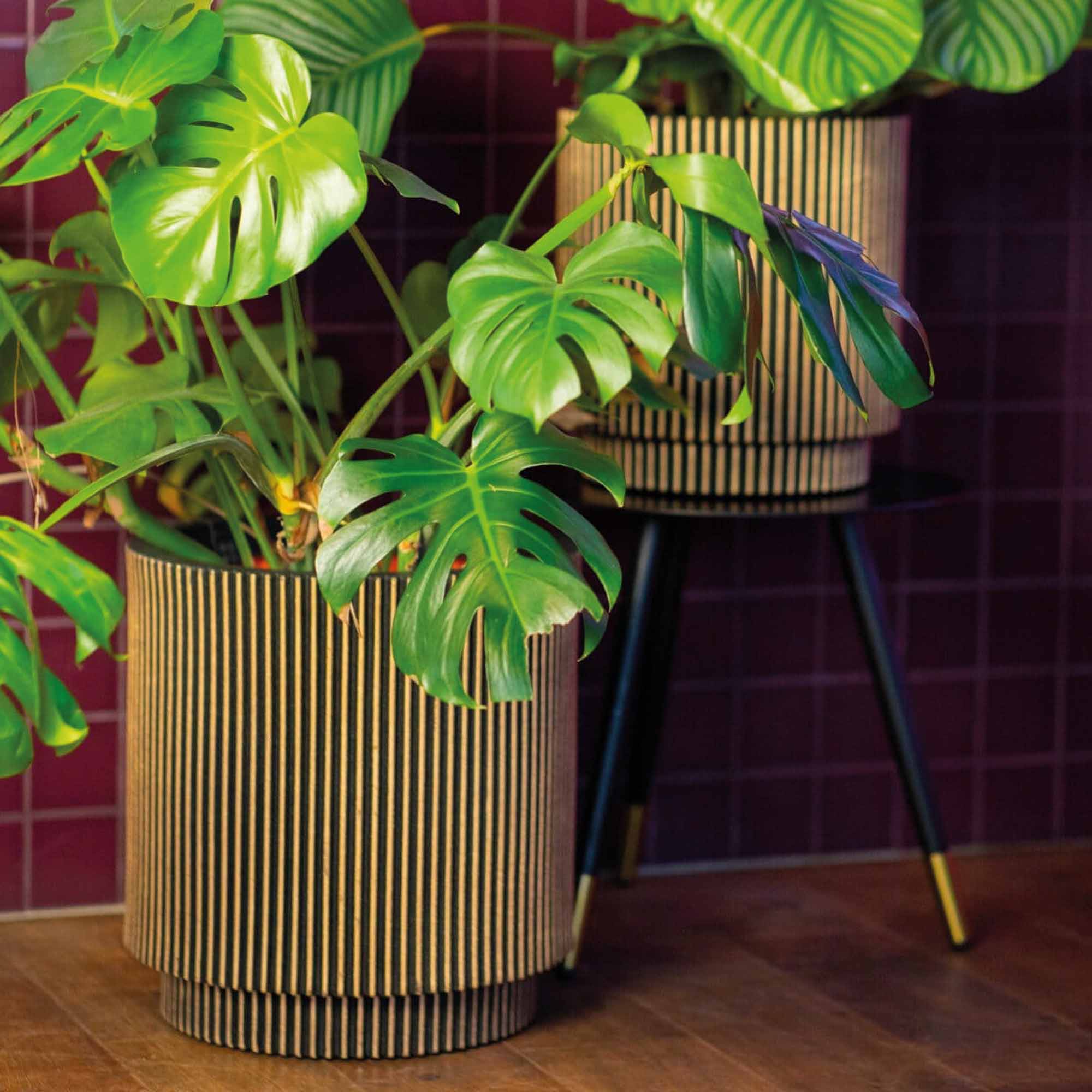 61a521eac218c880ca9acb40fc579b3a