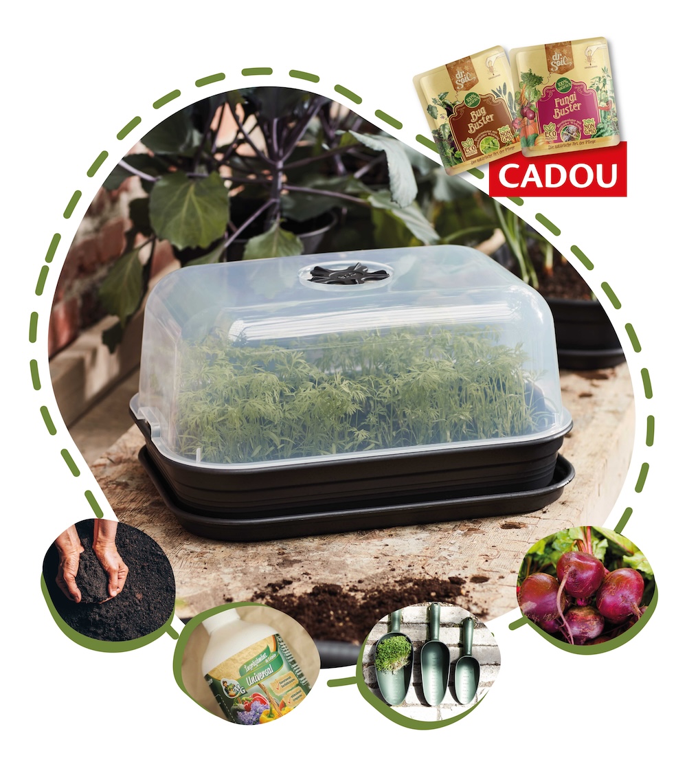 3a1a6f63c764161b1c7b77f7865aed32