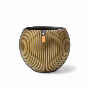 9a7ad0c3ae01beff56ea3189e50e349c