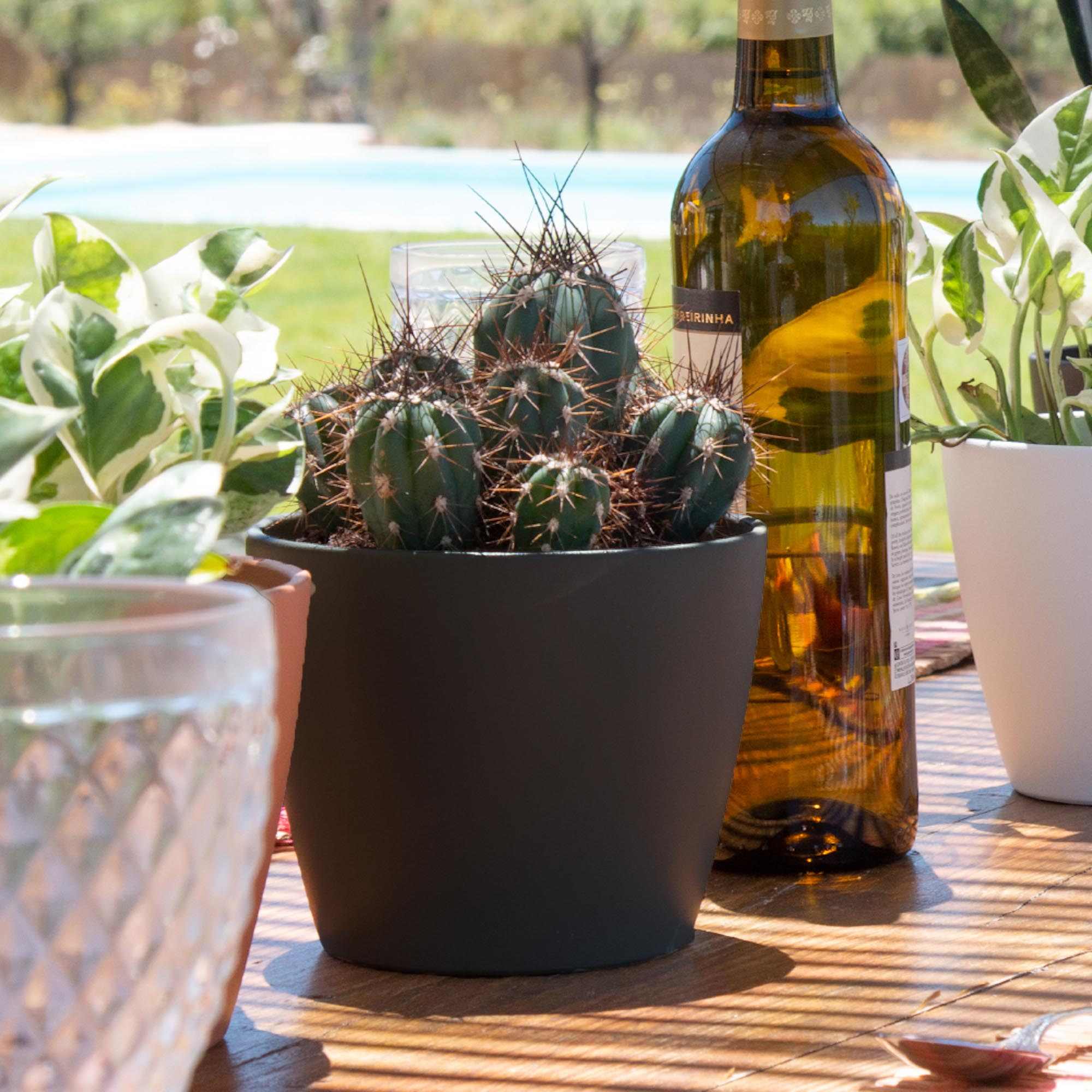 ad056d4ec4c9112e077d26d218e1c3e7