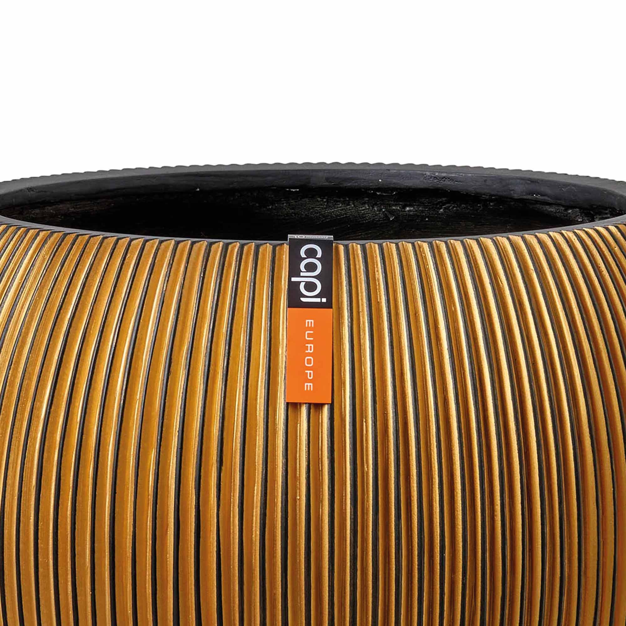 9d1f48fb99df70bc7021b4e79b92712b