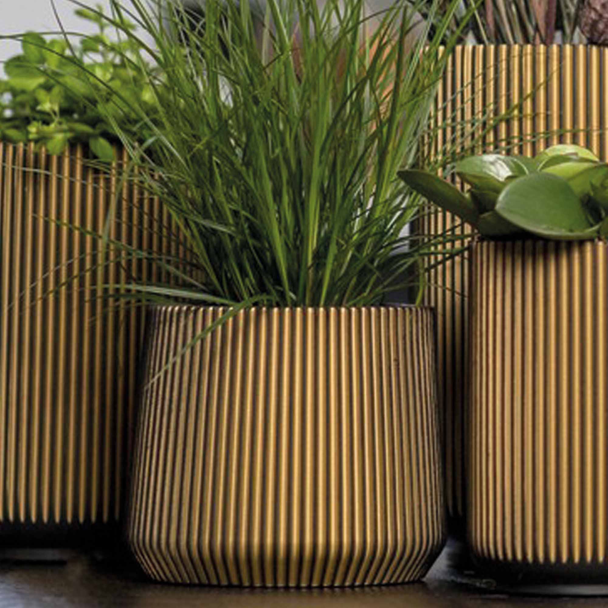 bcb2f7dc31836a972c67b020cb8965a0