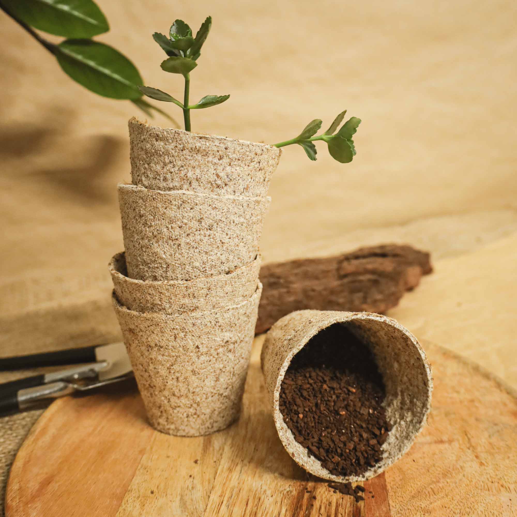 ec25e40af66d8518864ab2c3fbd301f1