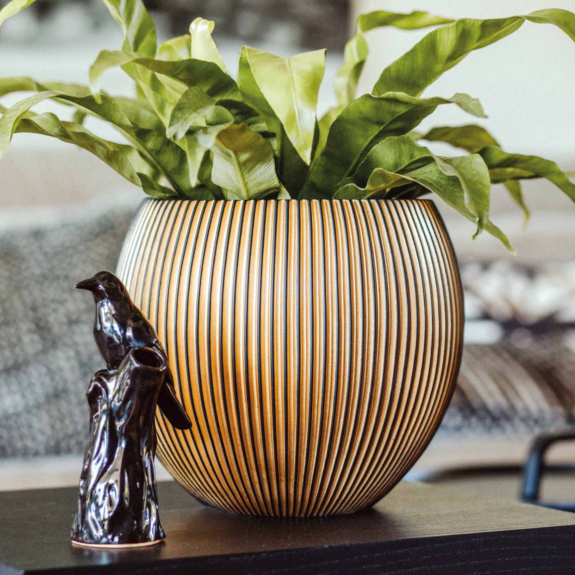 8104cacda565c4ef910b54eb64bfd950