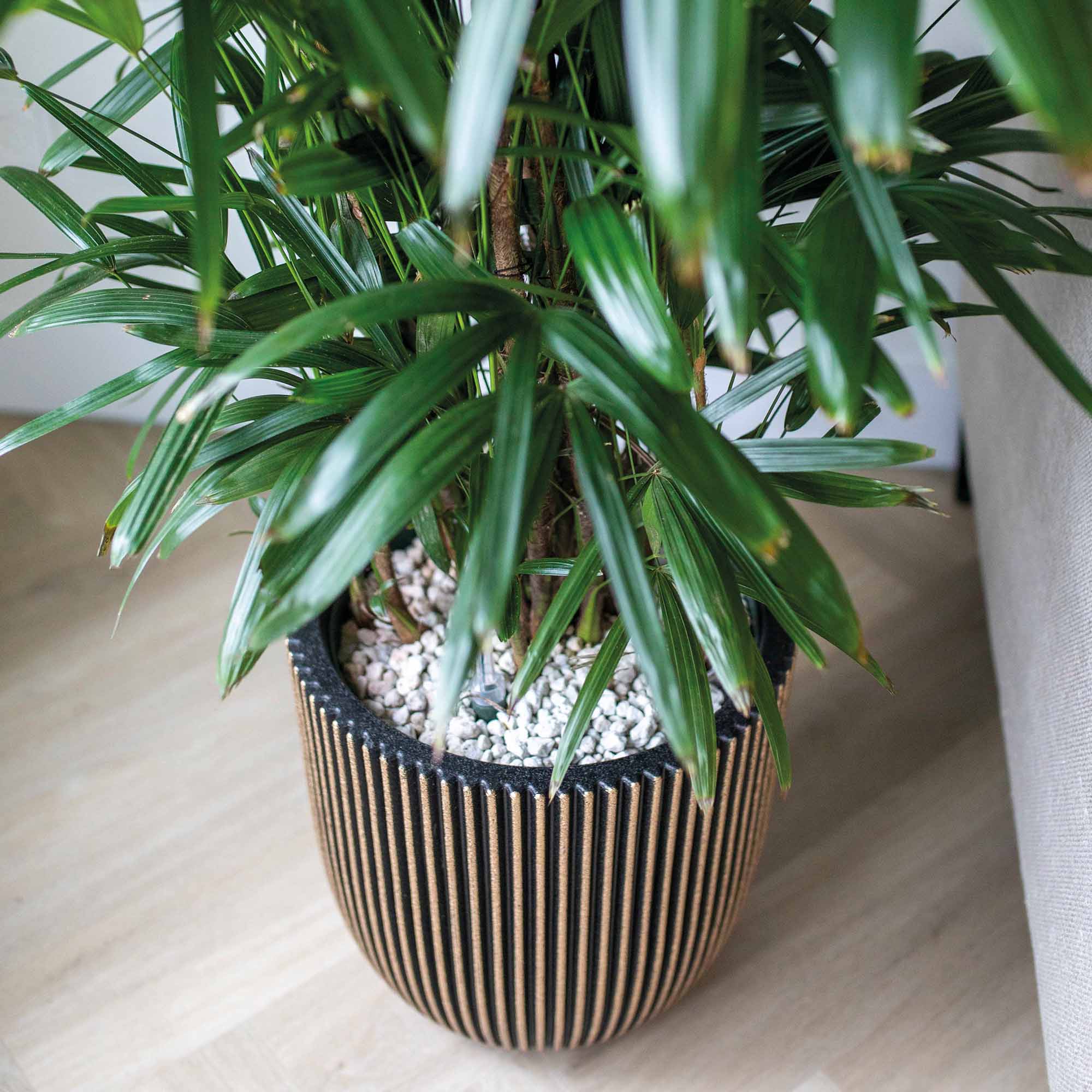 dd621bc29a513f646499e0a82dcf9786