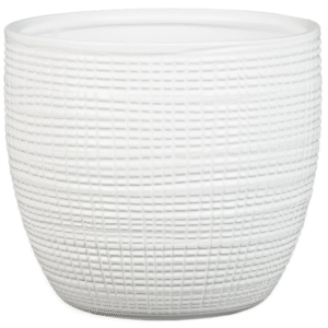 804d6909936f95a4f5a5ee4c0604a006