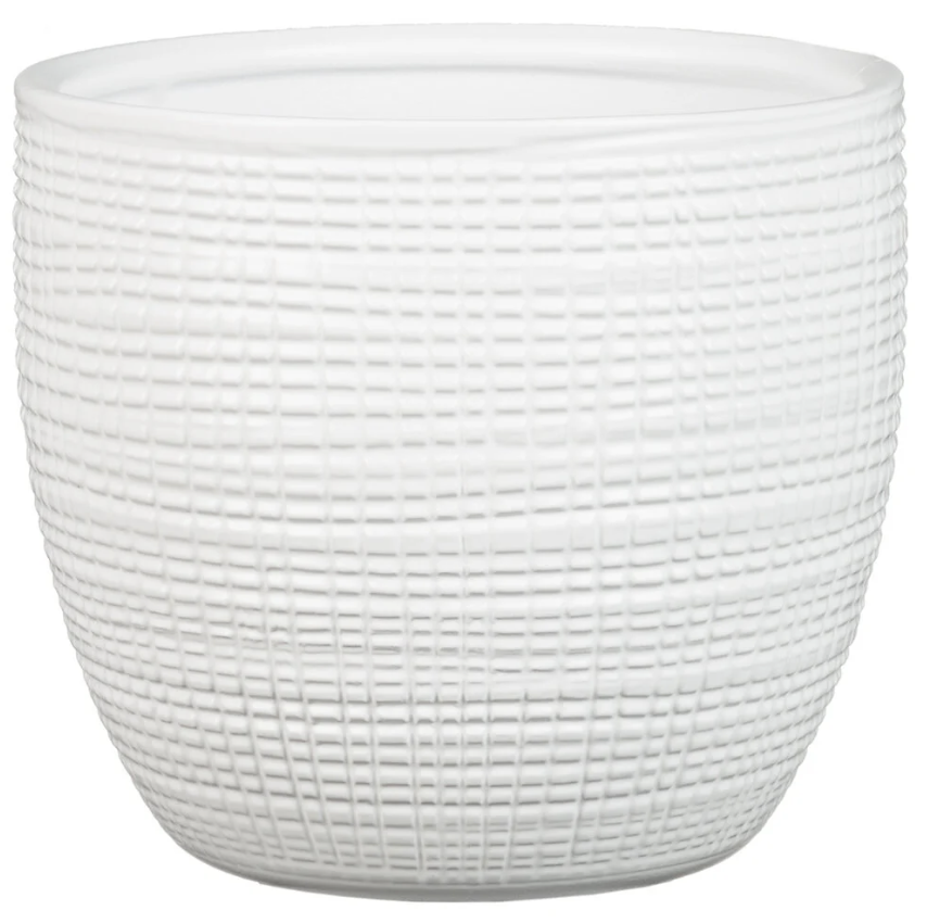 804d6909936f95a4f5a5ee4c0604a006