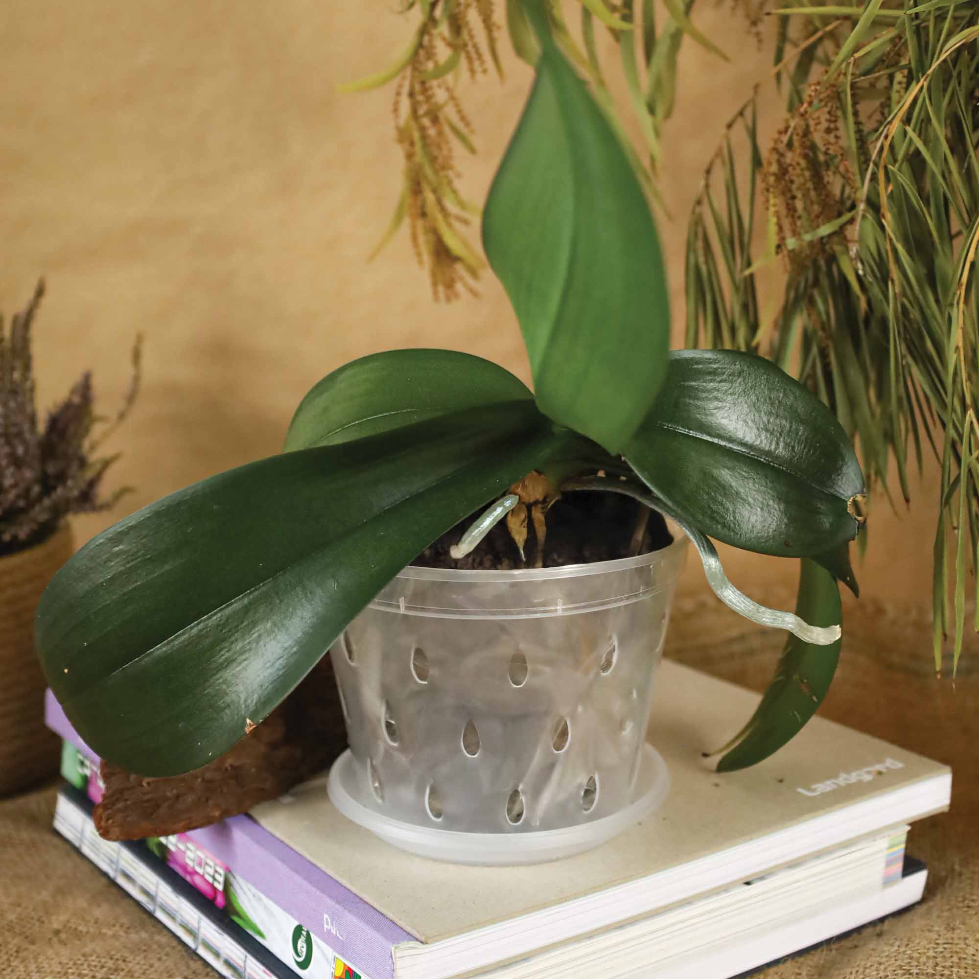 50b18d6edafd45749be4cd0856c97f74