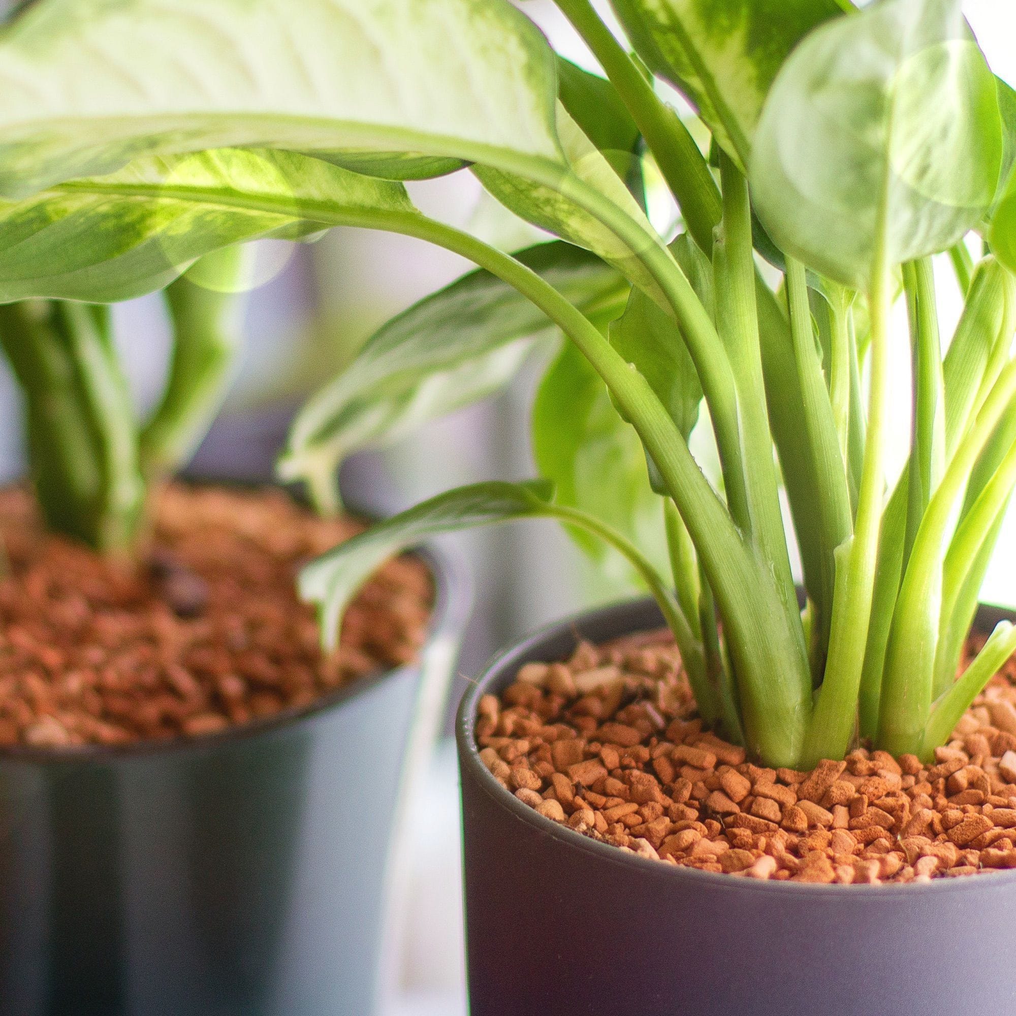 f2a647f33c3349bc7552ba8712b0fdb9