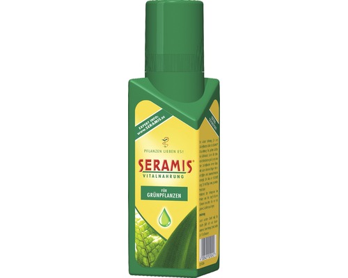 2bdc351585839e03070235cf48543a0a