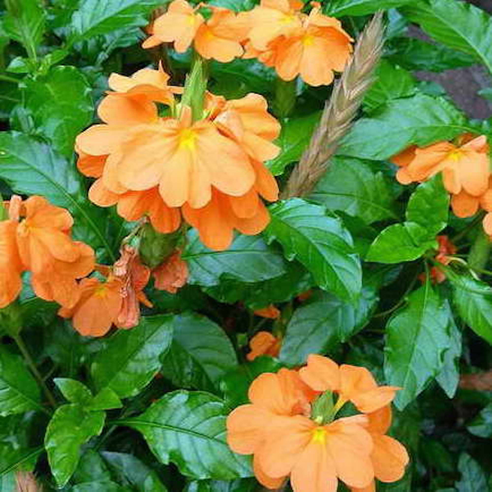 d404acd11a9b4c19dc8c9d6e326c4e1d