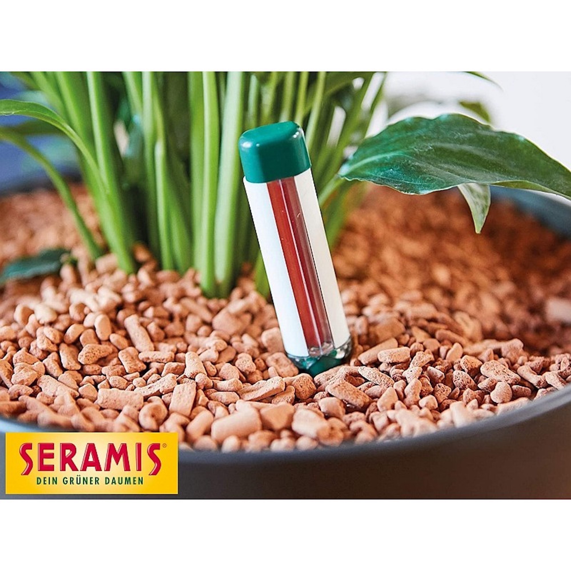 9c946fa030fcbe72b616ff6090249757