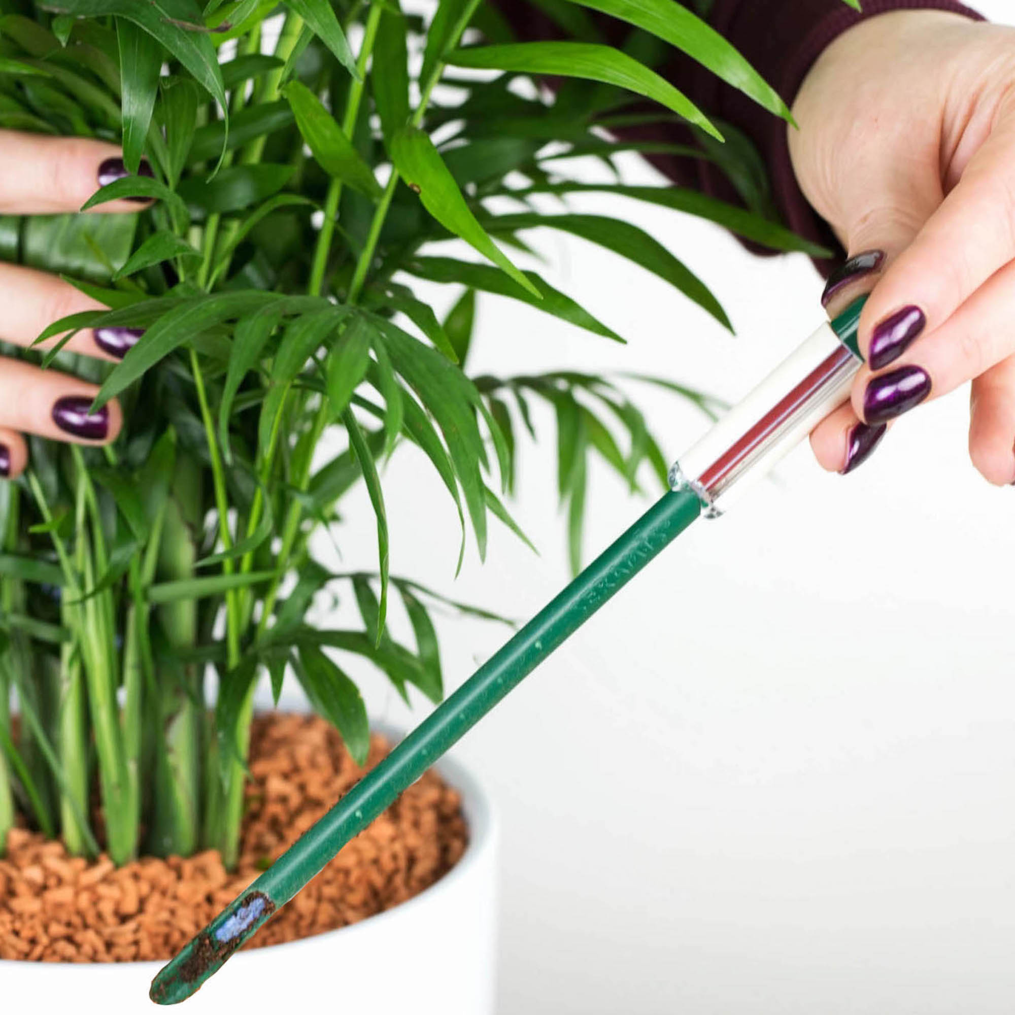 a2acf60faac9047aa1aa0c68fa865c4f