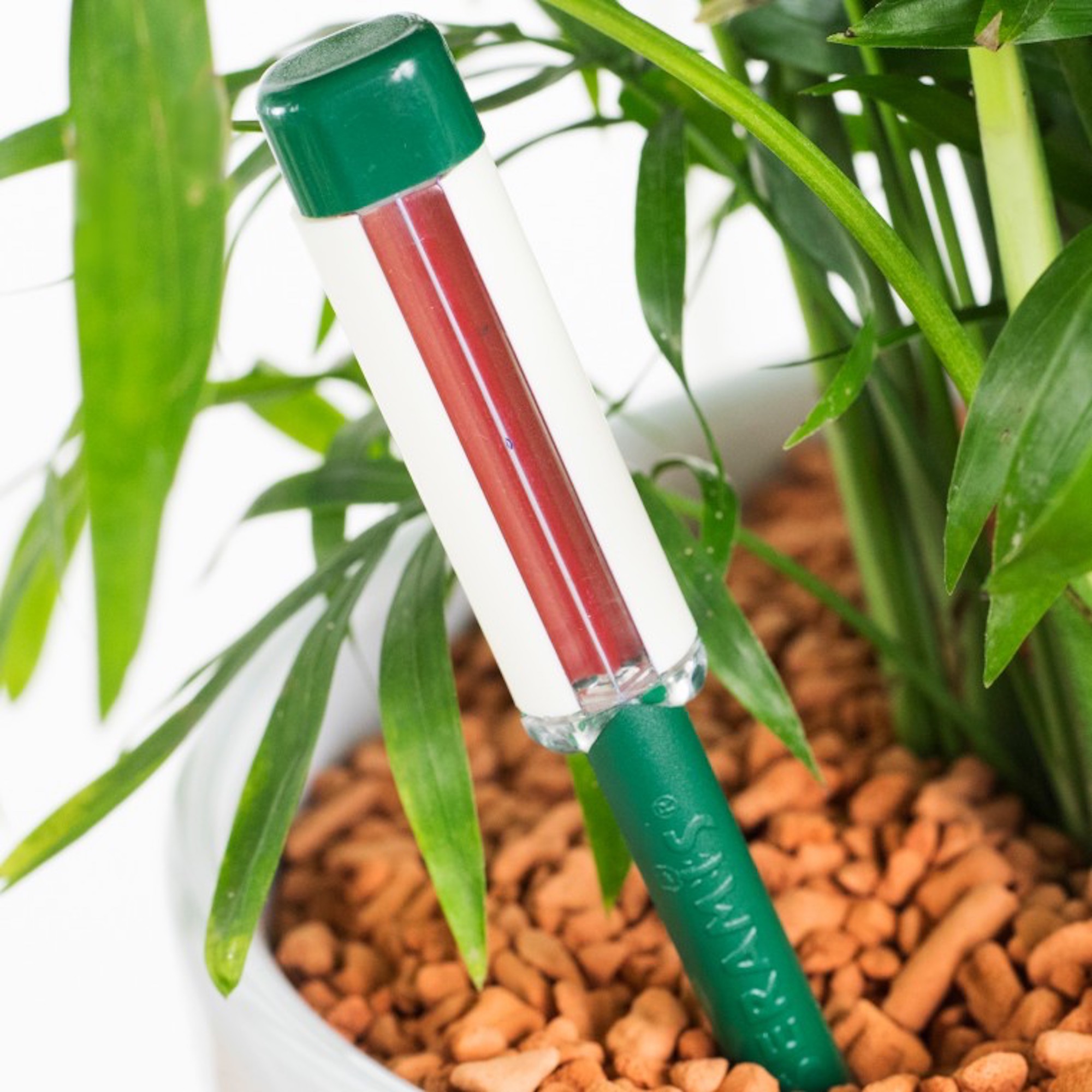 881bf2e01705e70e09b1fdb06e69e41a