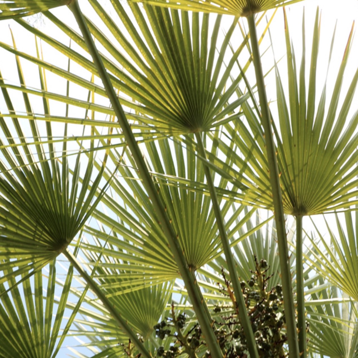 cca97fe221560184d200ea359b9ed6ac