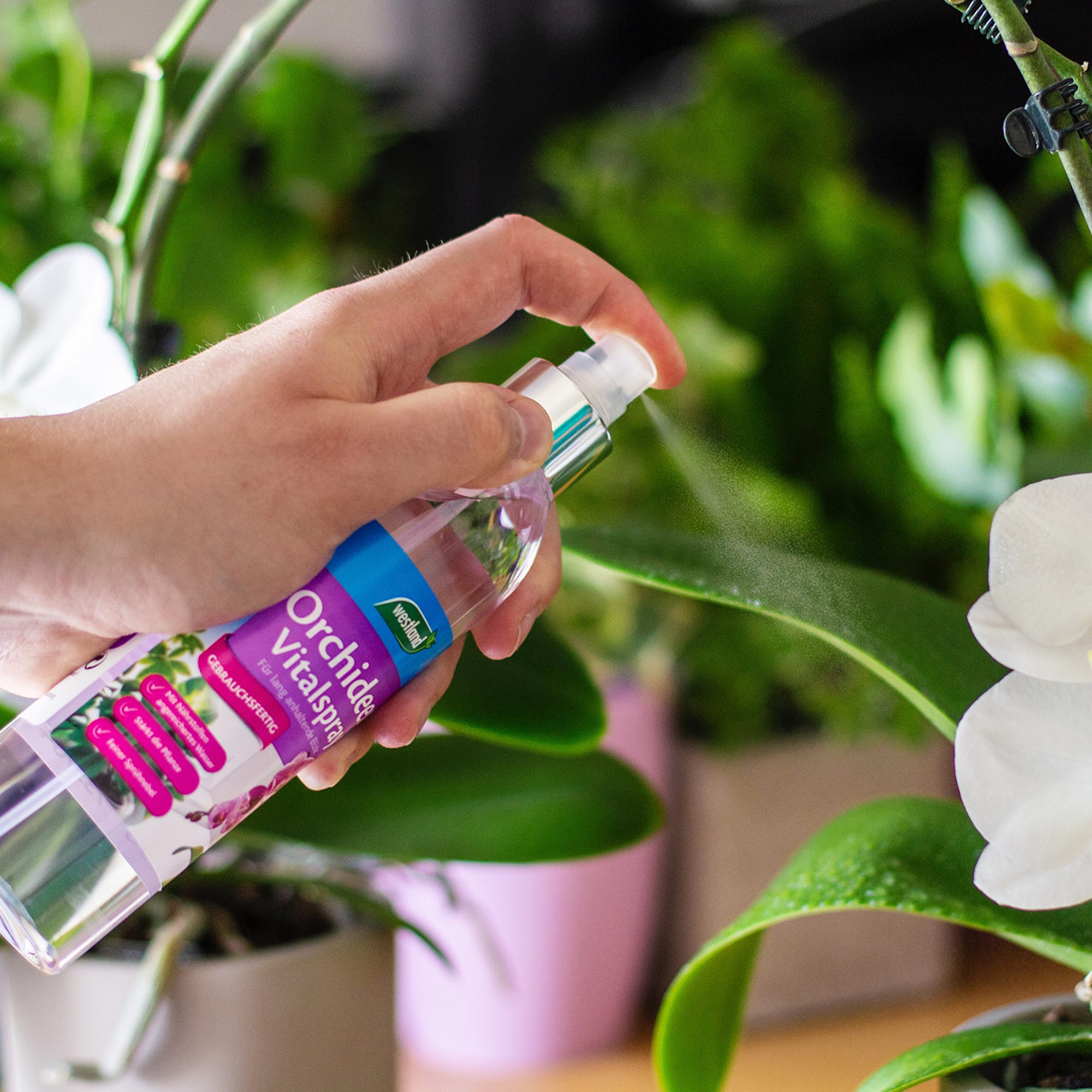 0c2c043c08eff8d096d4607f6b2853ea