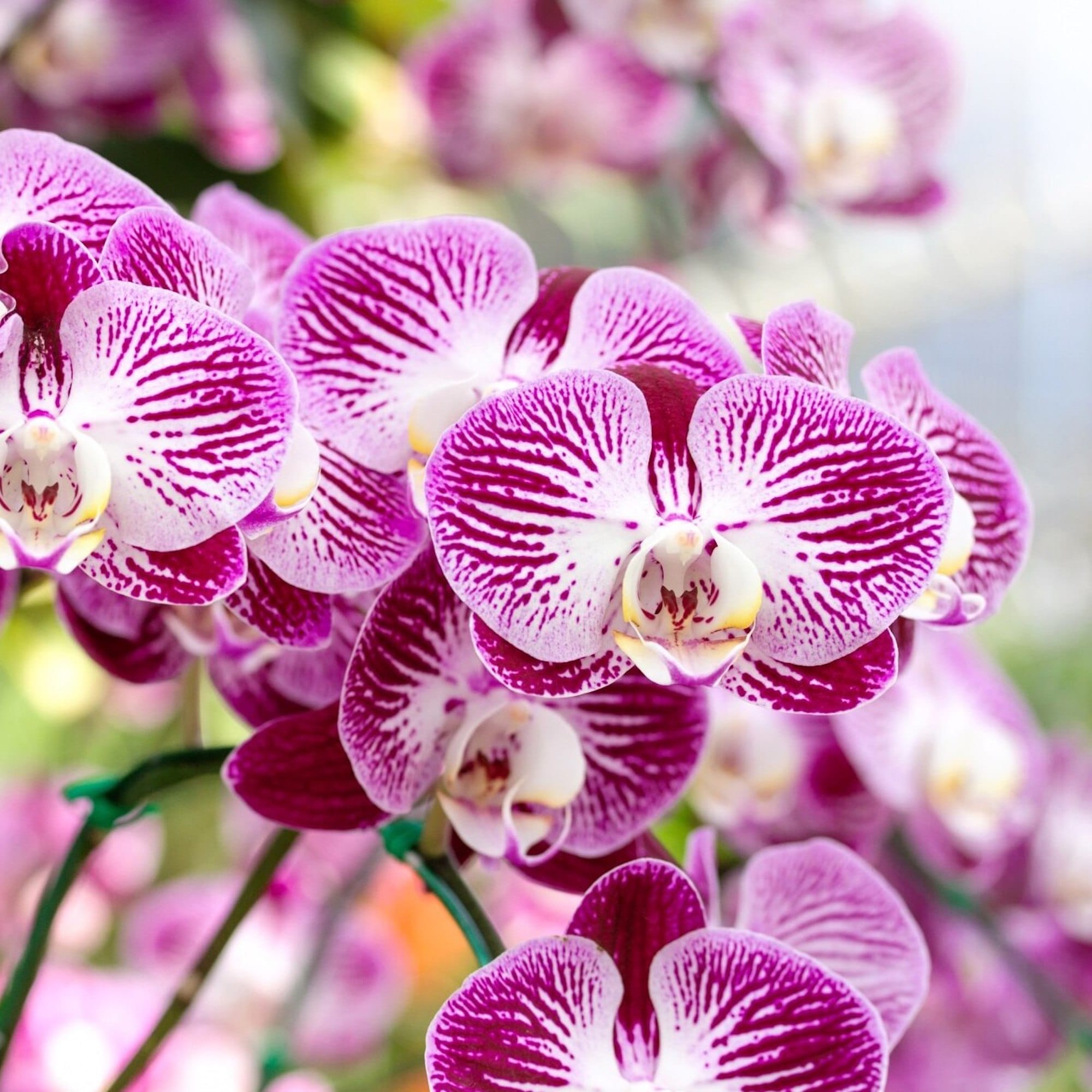 b9566a3a3148b1e7b209fbf6db7a9100