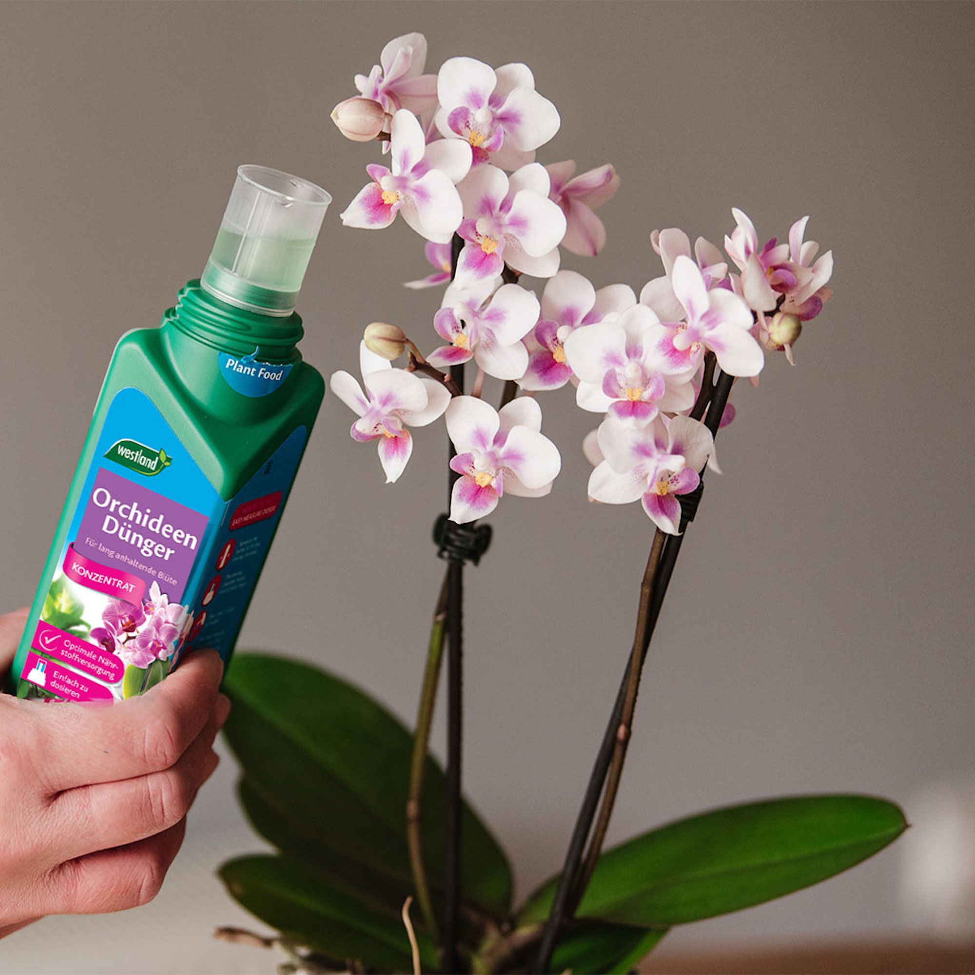 3b96f7cde9b27d29be09a2c3bdbf55ab