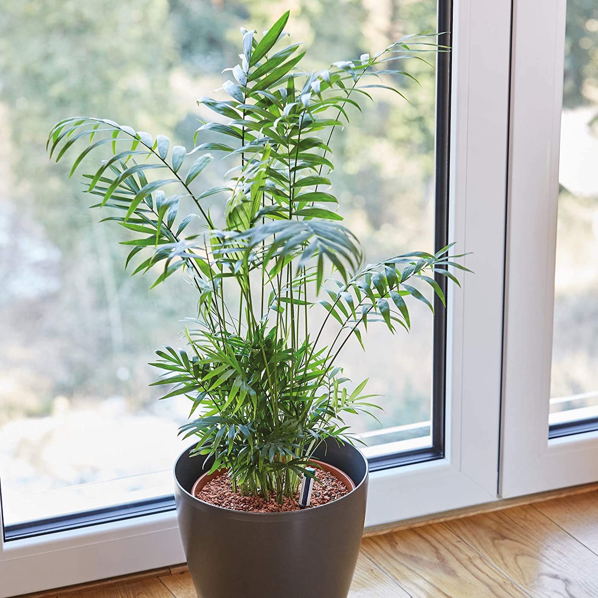 e10bc6410336d44c3f77b0e5b399483d