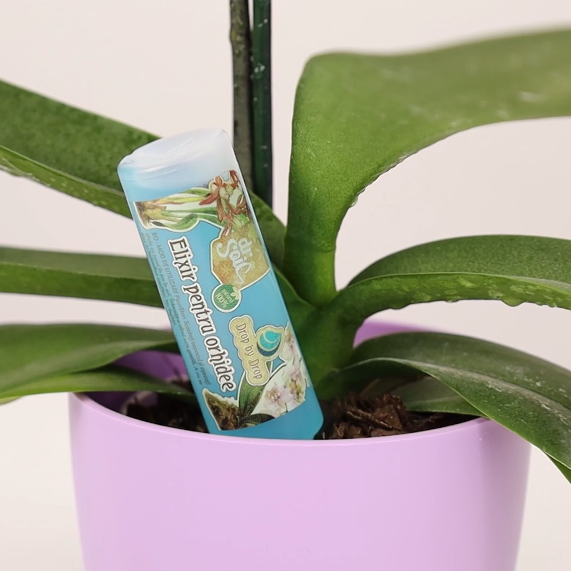 a96ea060e4a9c47cface2ec5caec9029