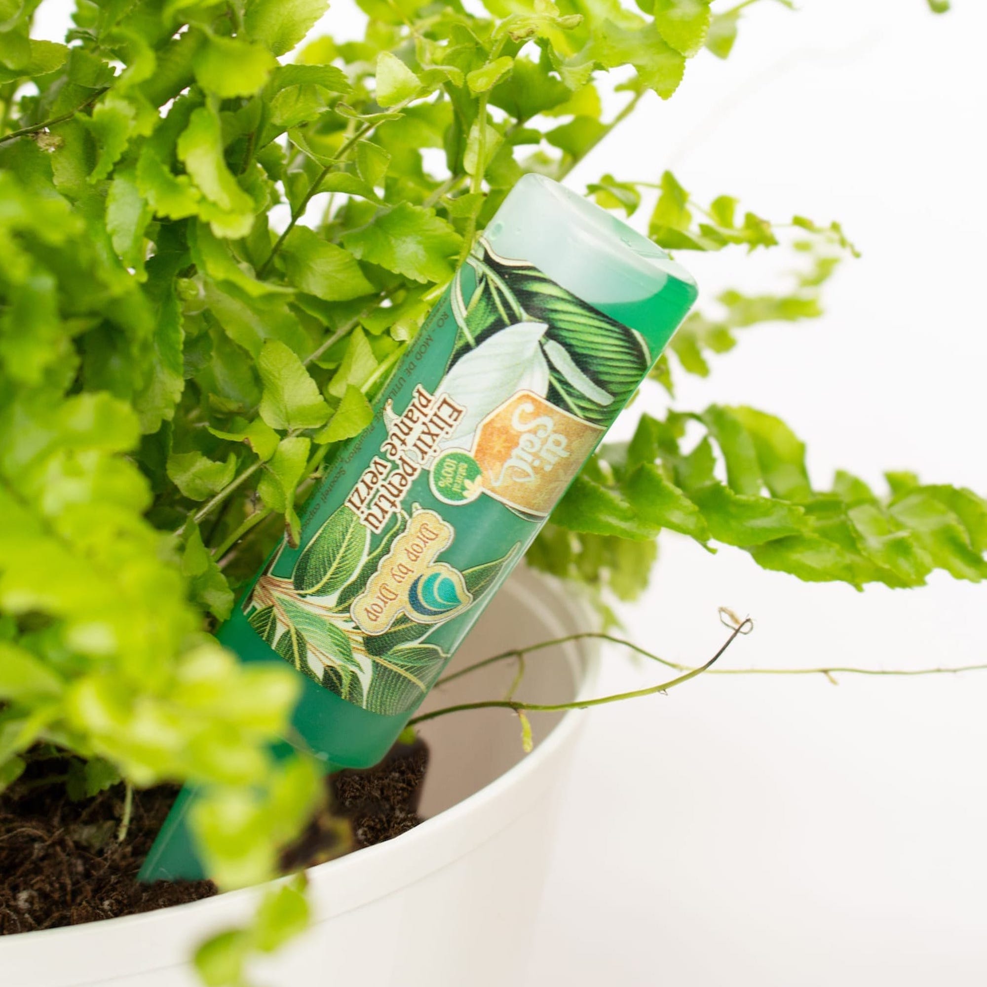 29c53391c5f0a02f137285343fed1fef