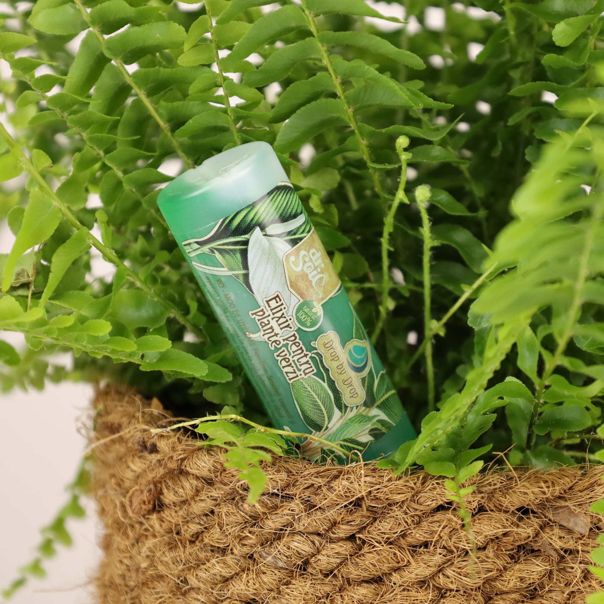 1b293a632293a4c4fd98941aff8e55f7