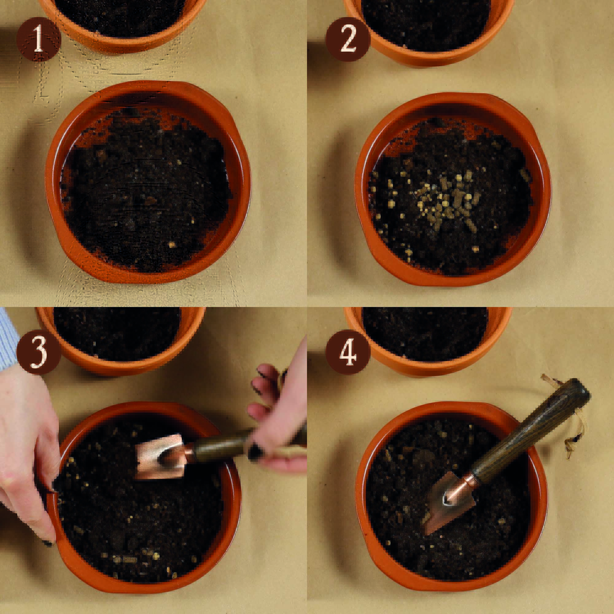 00a31bb80517d95d64aacd2ff0872e77