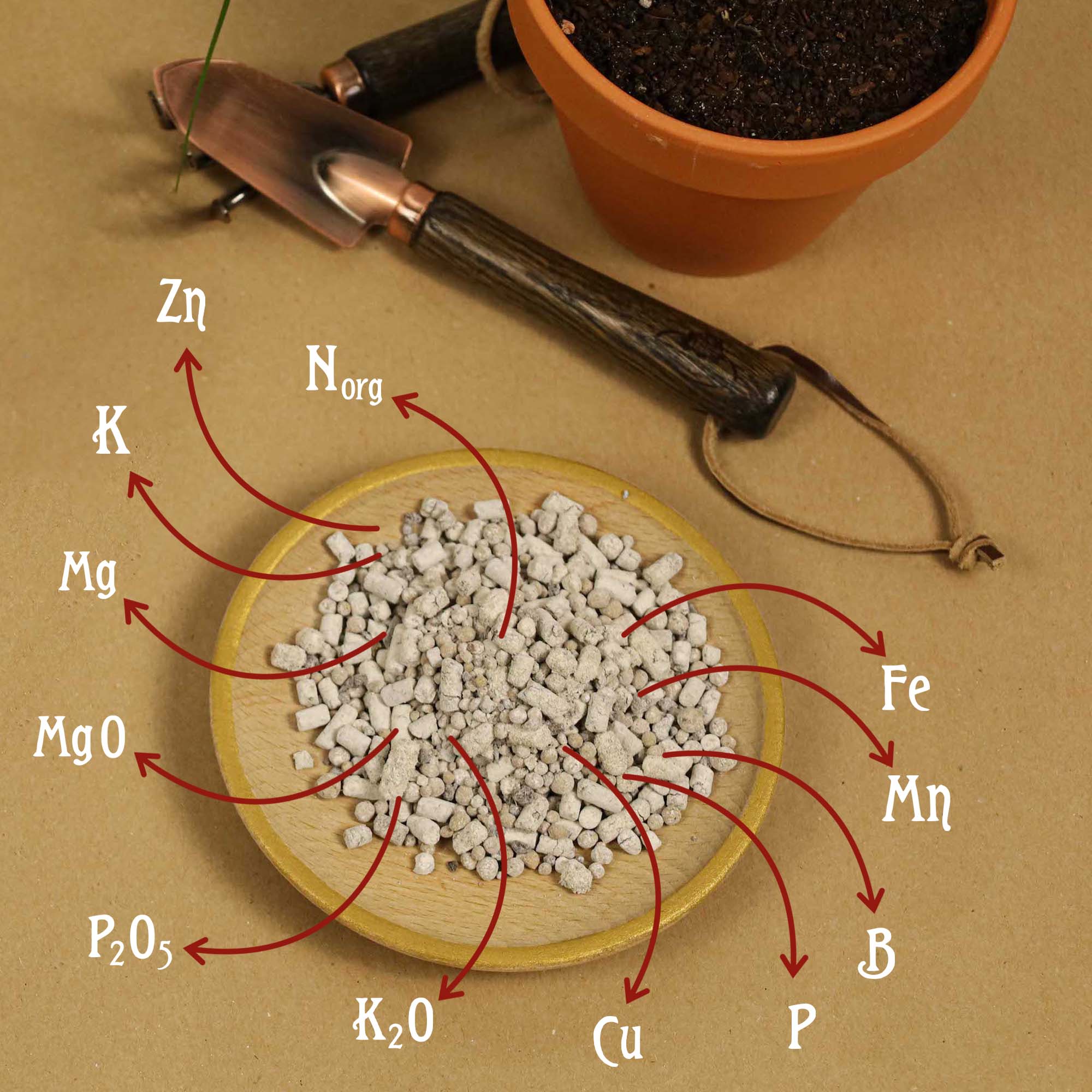 8522eaa55cab6ebaf5e68730f99fc160