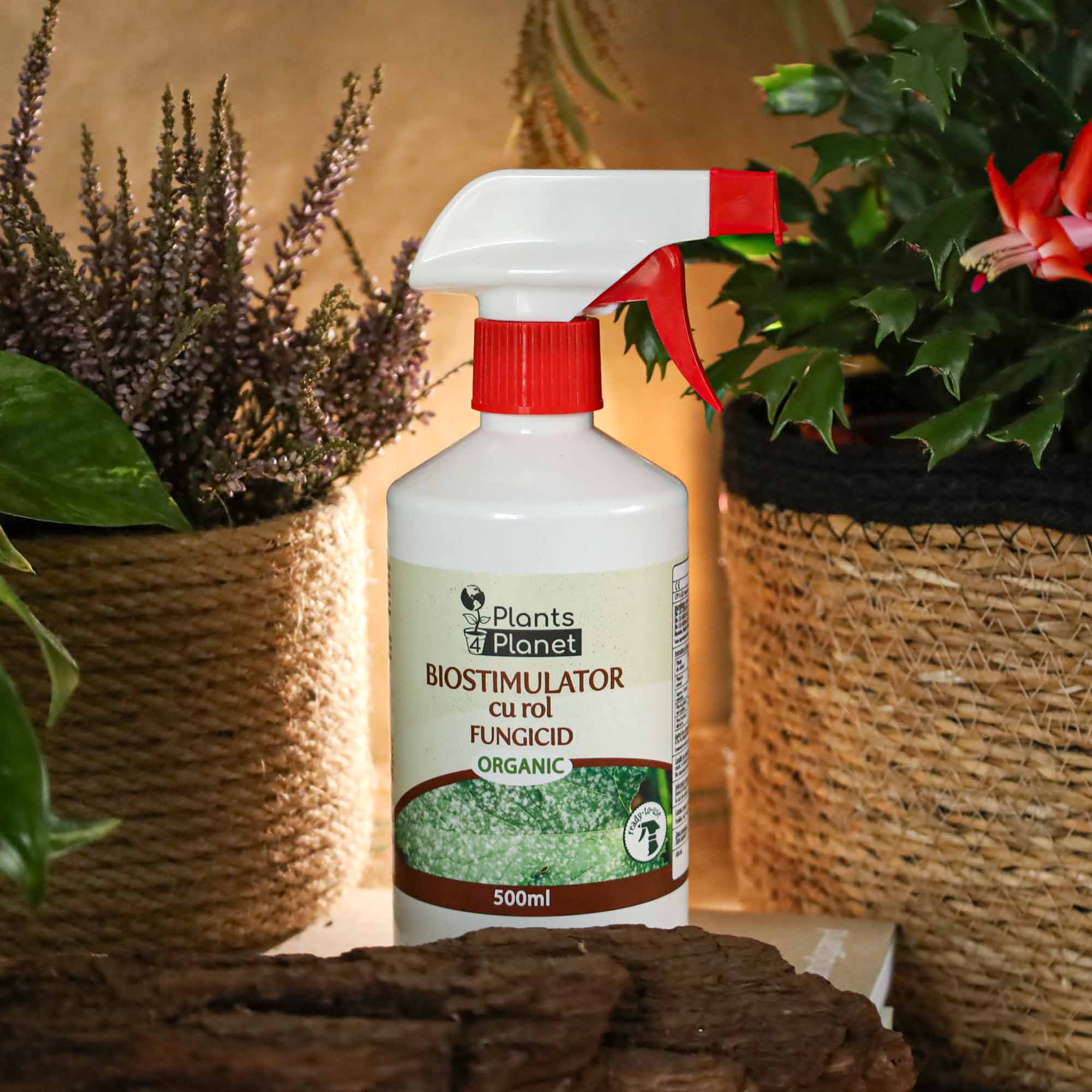 2b4fd9b0641ac66c8fde47b6e129e0a2