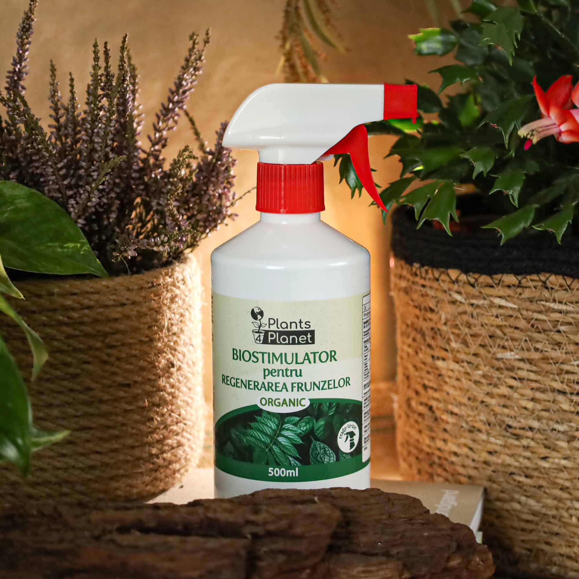 bc8c80676a829bbcd335781a96a3459b