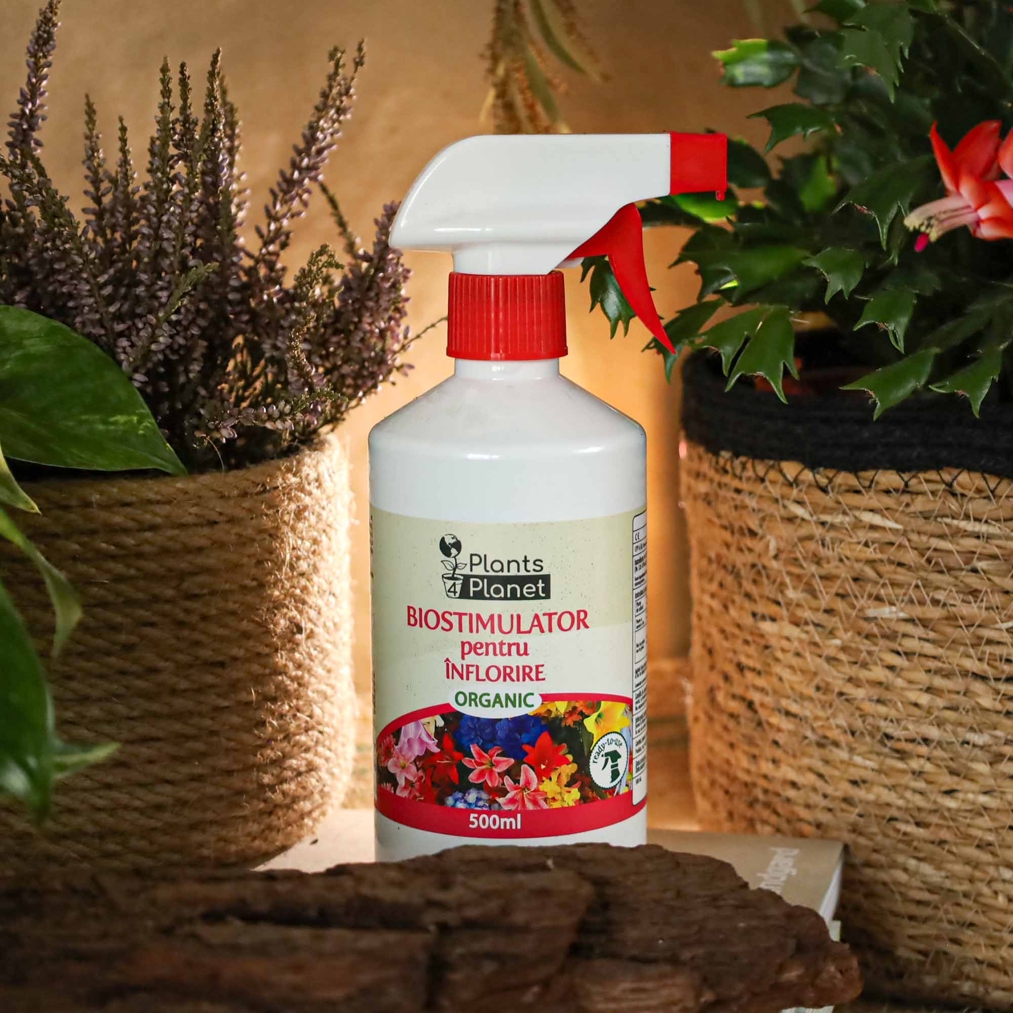 67218e81beba57e38c55e51468141e5e