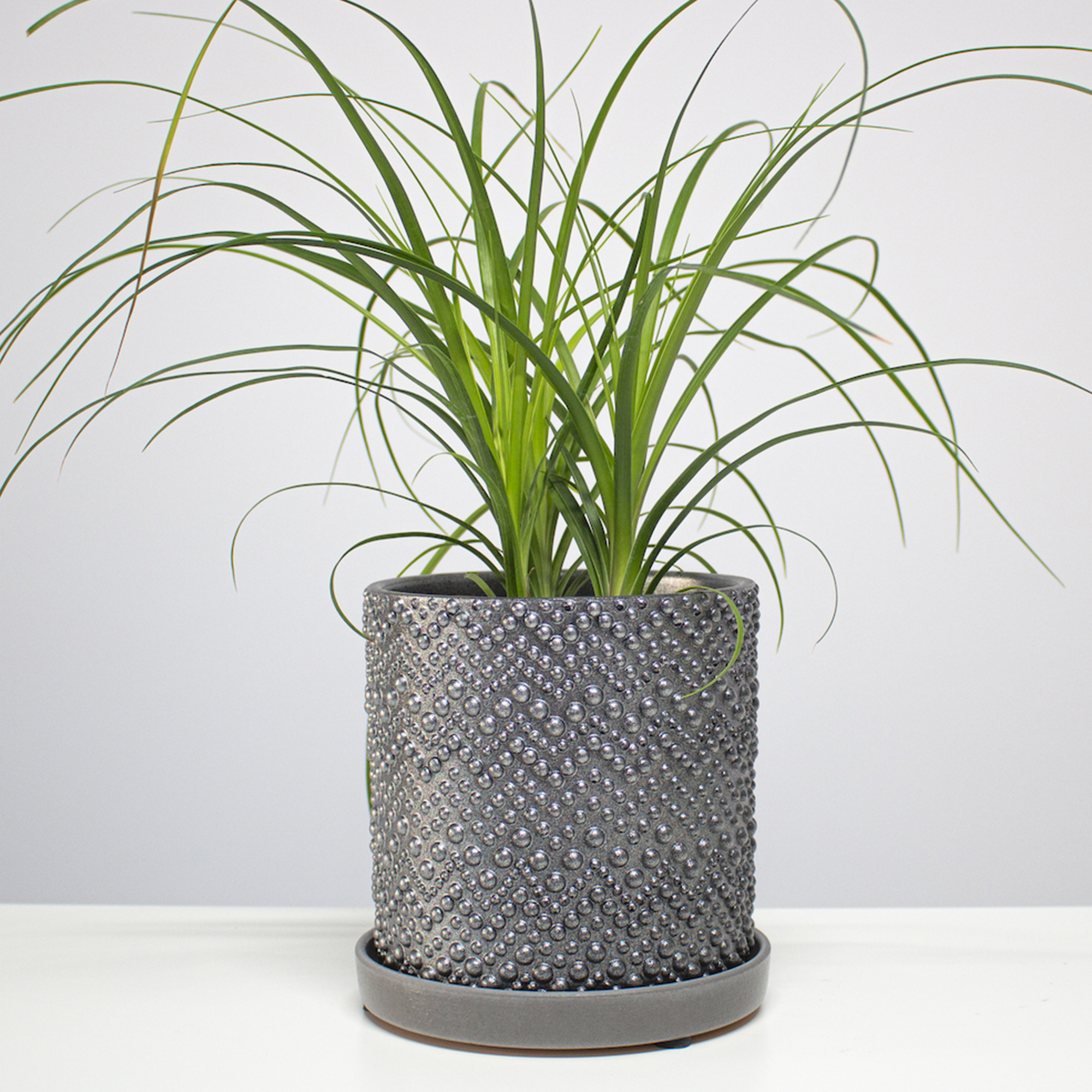 1d23496ce6dcde07ccd1fc7b62b90952