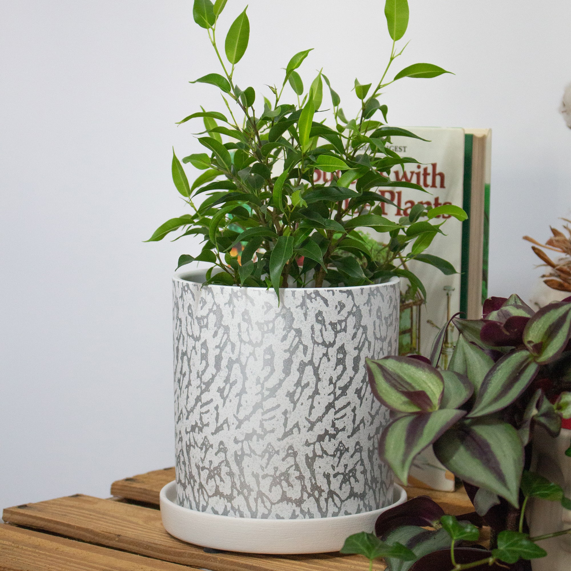 289e8a883b5d7e16f67616495f90c2d2