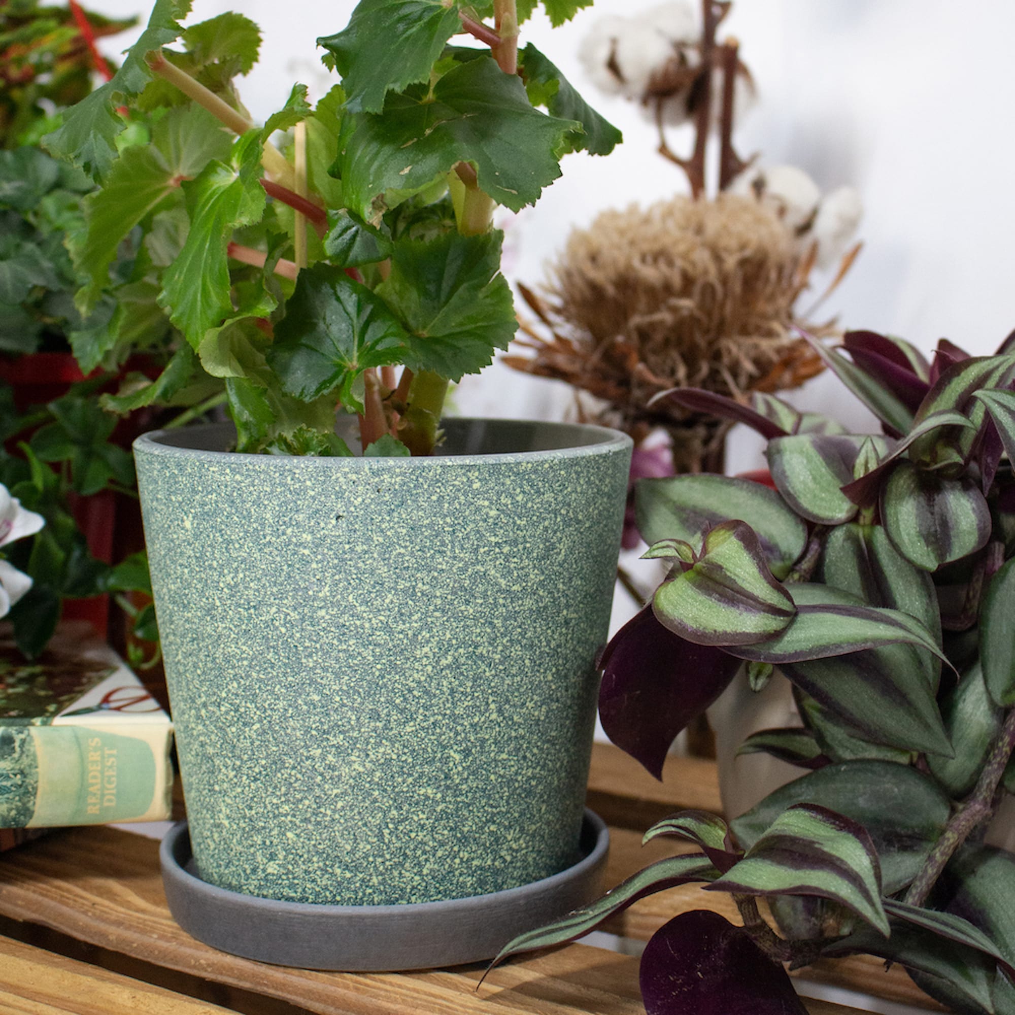 cb652d0565545c9ee7d5ec9501290425