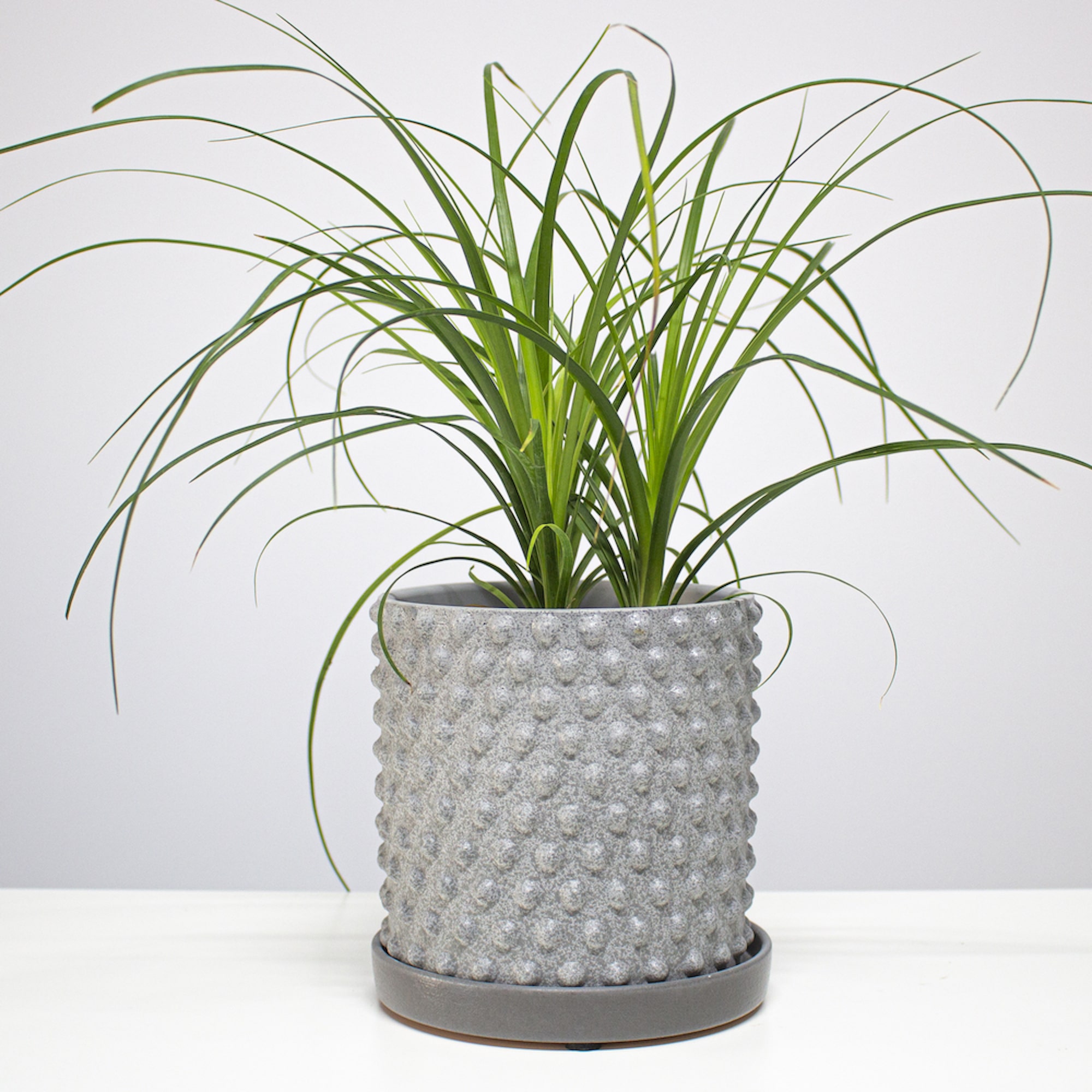 5cc478bf11f83413be42a12ea21de29c