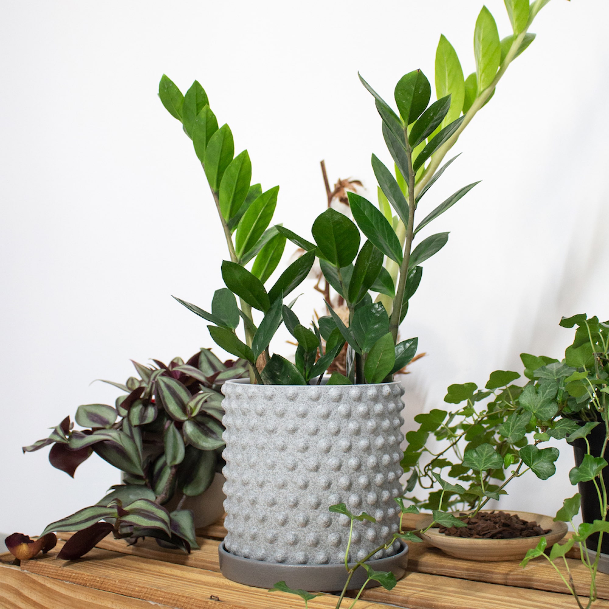 802f0b43a17a669ba805b3ff58c42c30