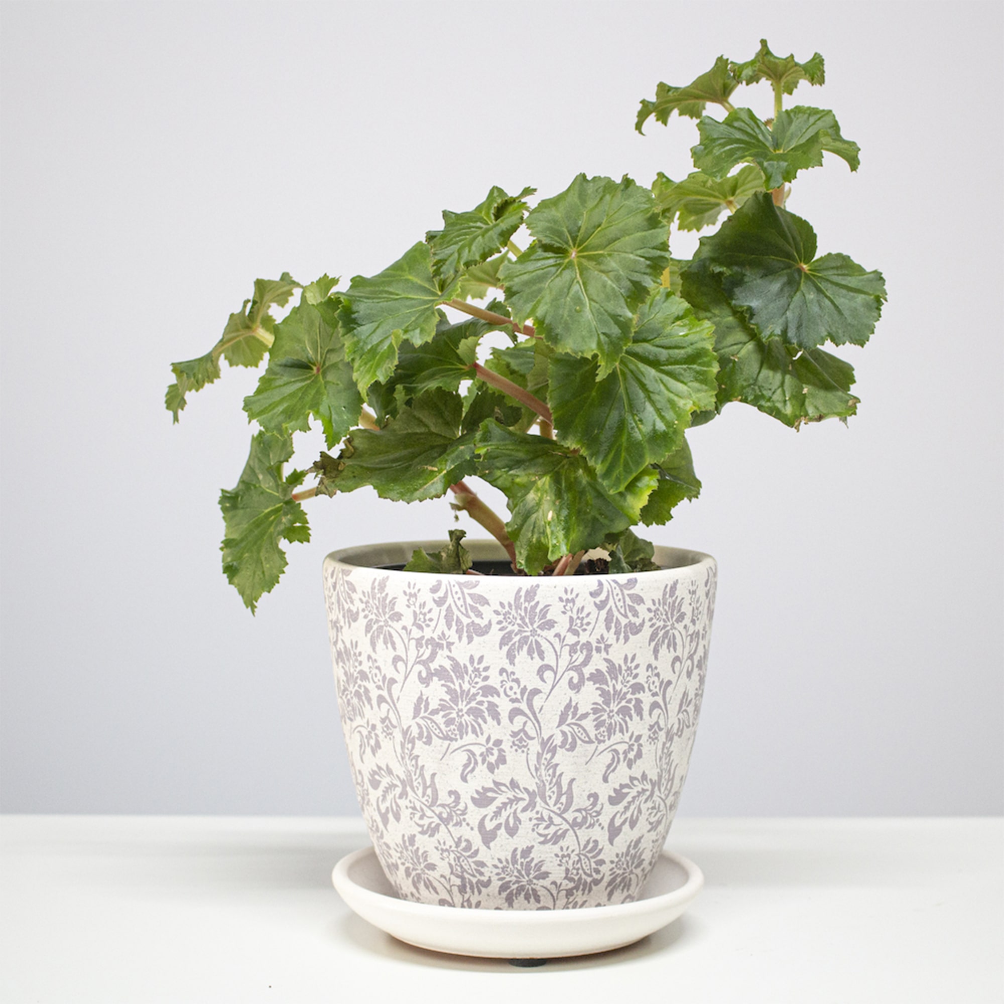 4427cc2659334a648821bdd8e44b5154