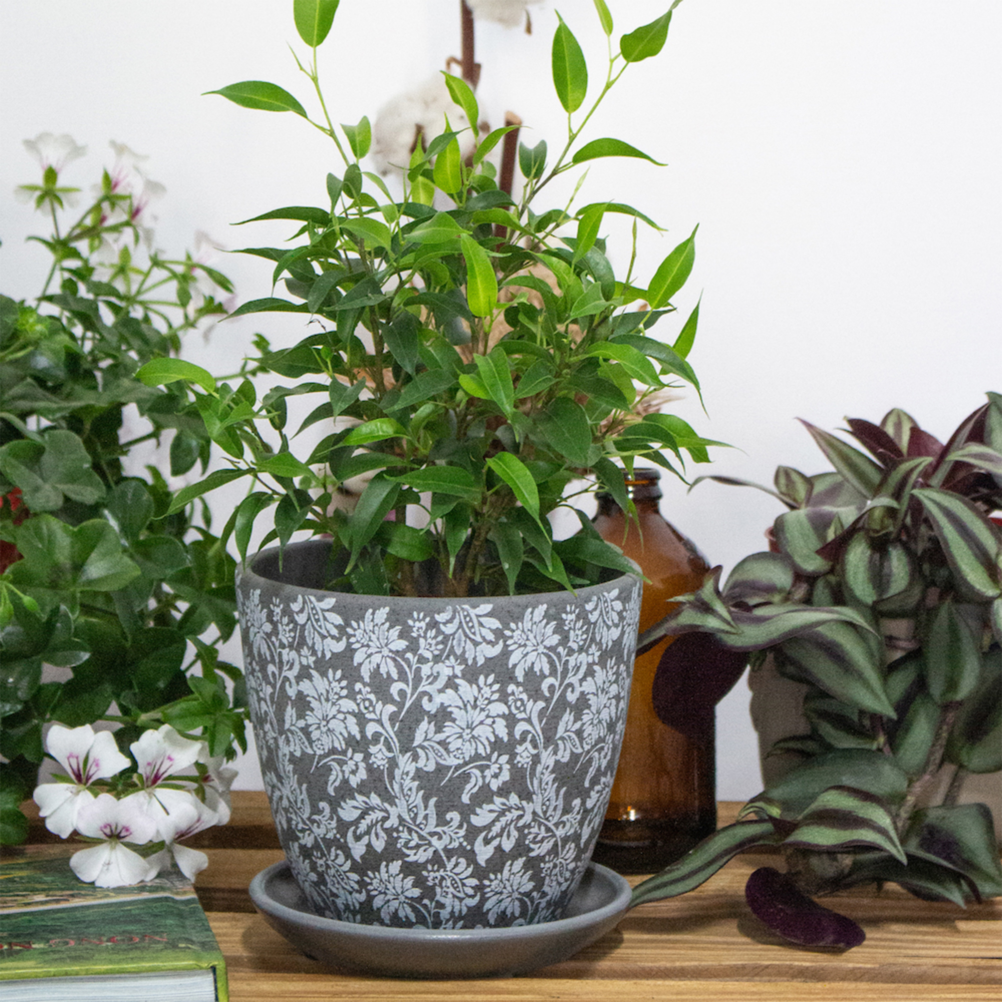 8208fba0dfd0901f72fdb9401c9d7b4b