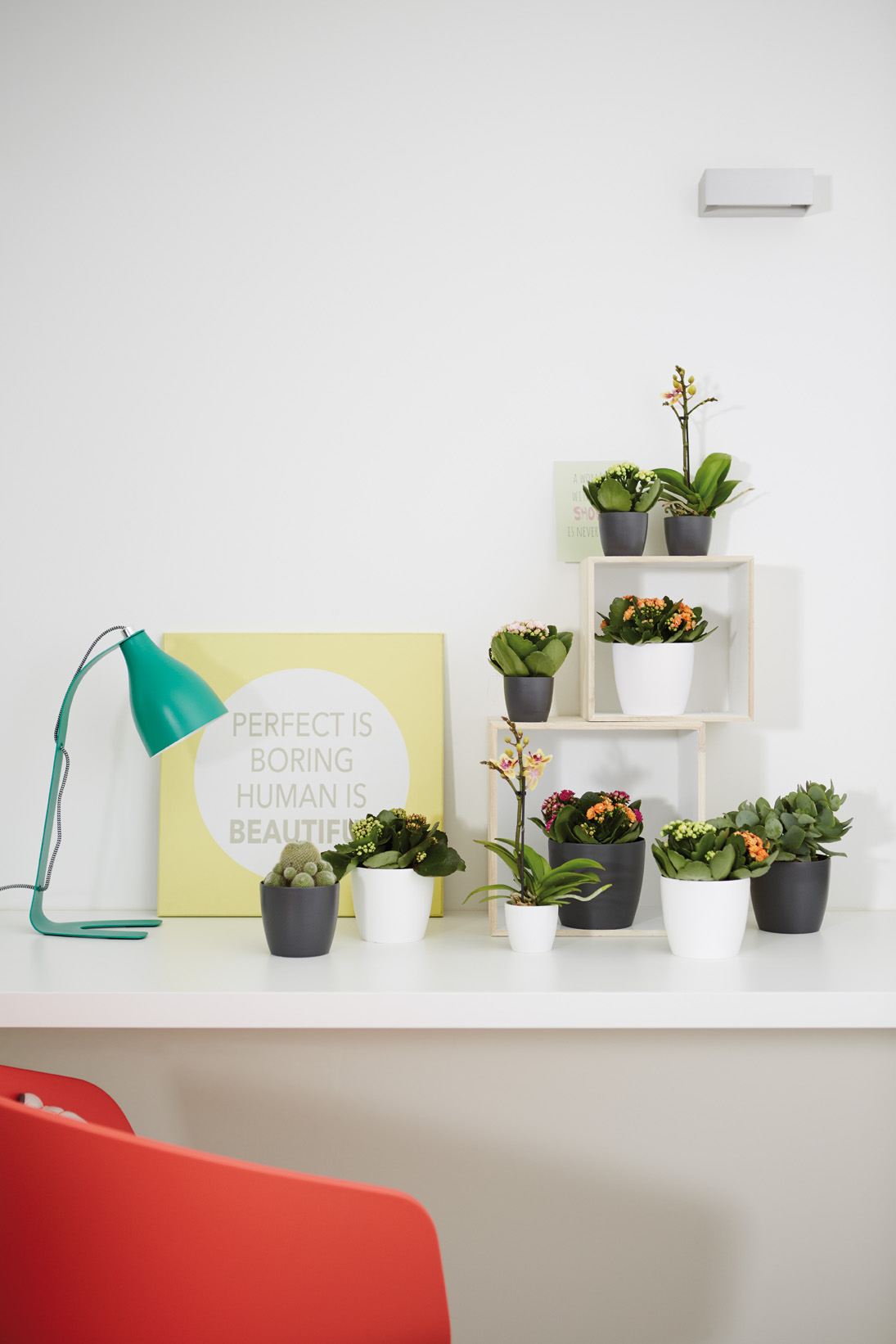 6e21b5a2bcaf9101b3c190220704d6f8