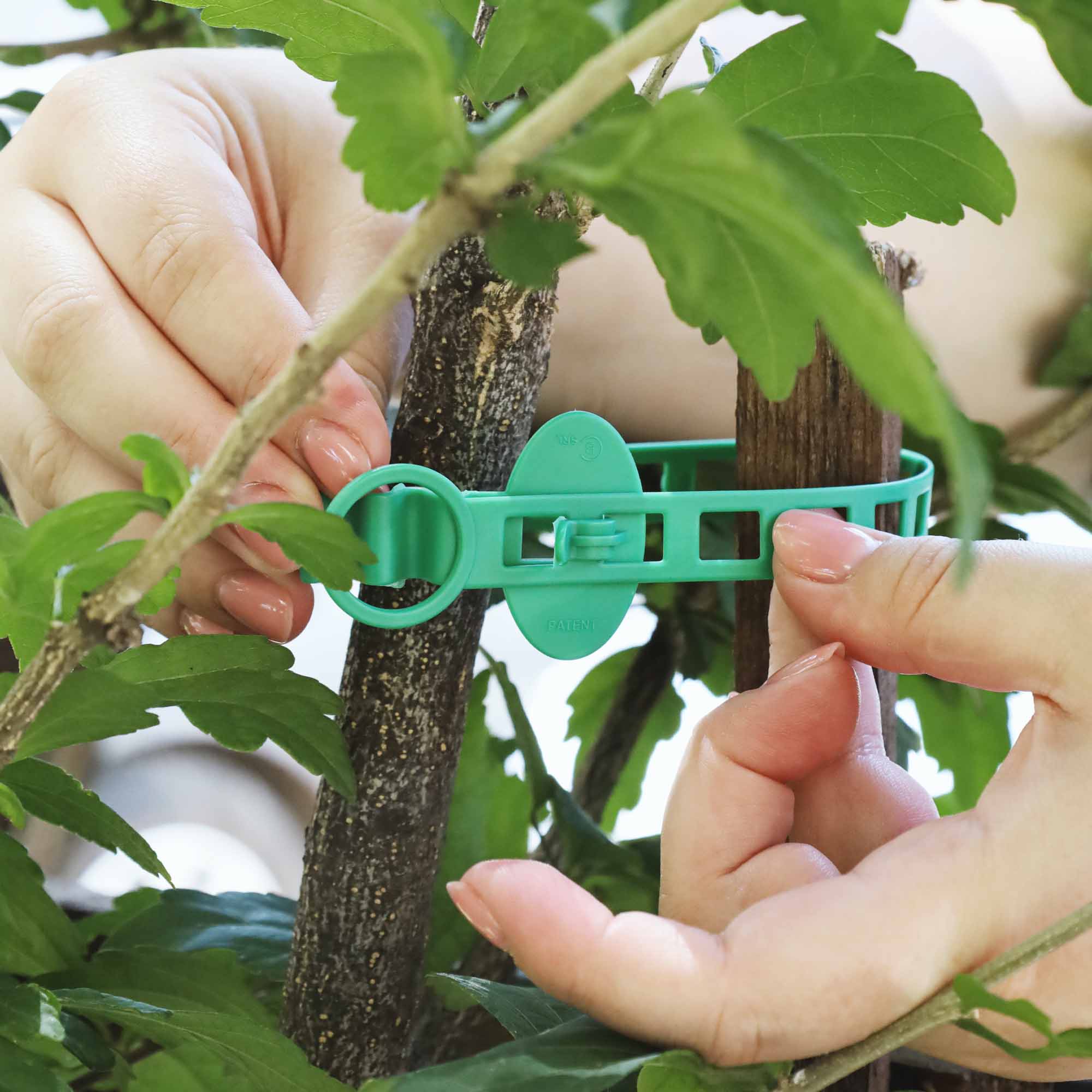 d6c967b70e8d1689100beaad9de35785