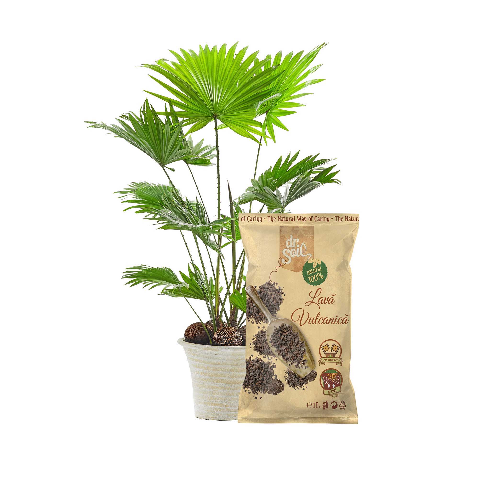 61f621db766b0909b8fad106e7959017