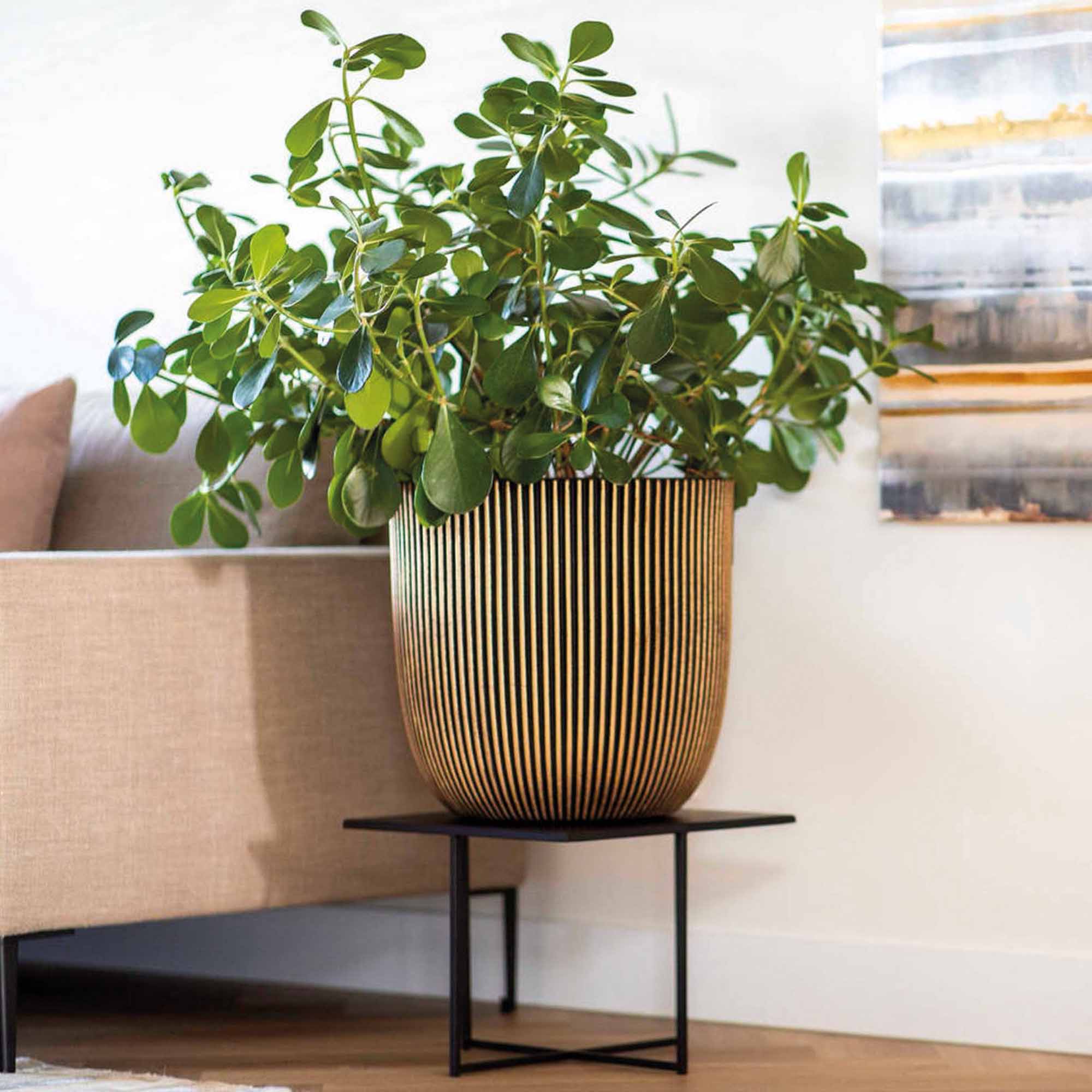 11d0446e702a0763ae6aad32f8592e28