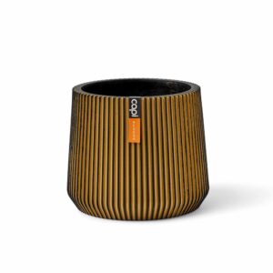 d79f7972d9e5a1ea8e43e3d8bfc65a4f