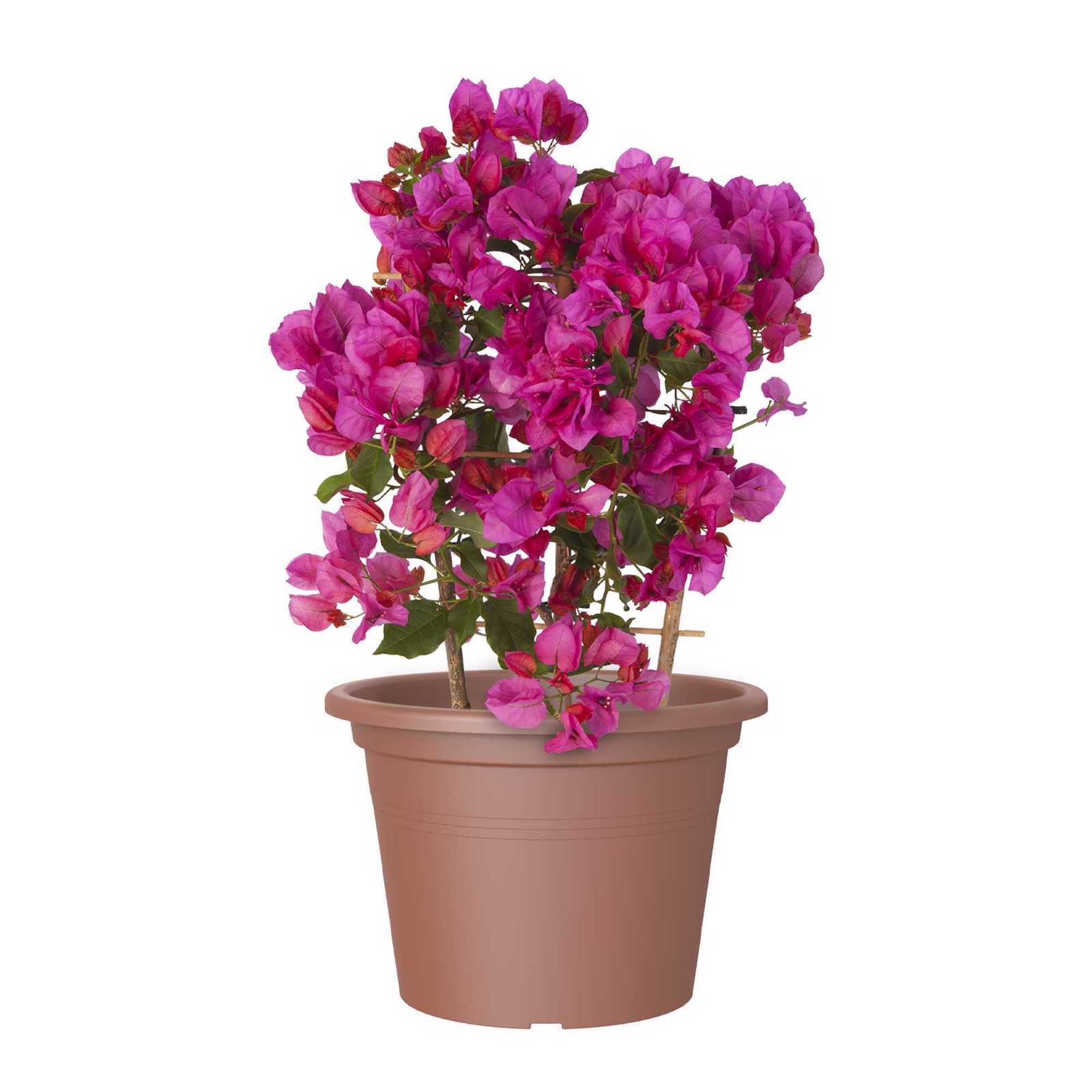 8cb13c9aa0a7fd8342e6ad0c90b12891